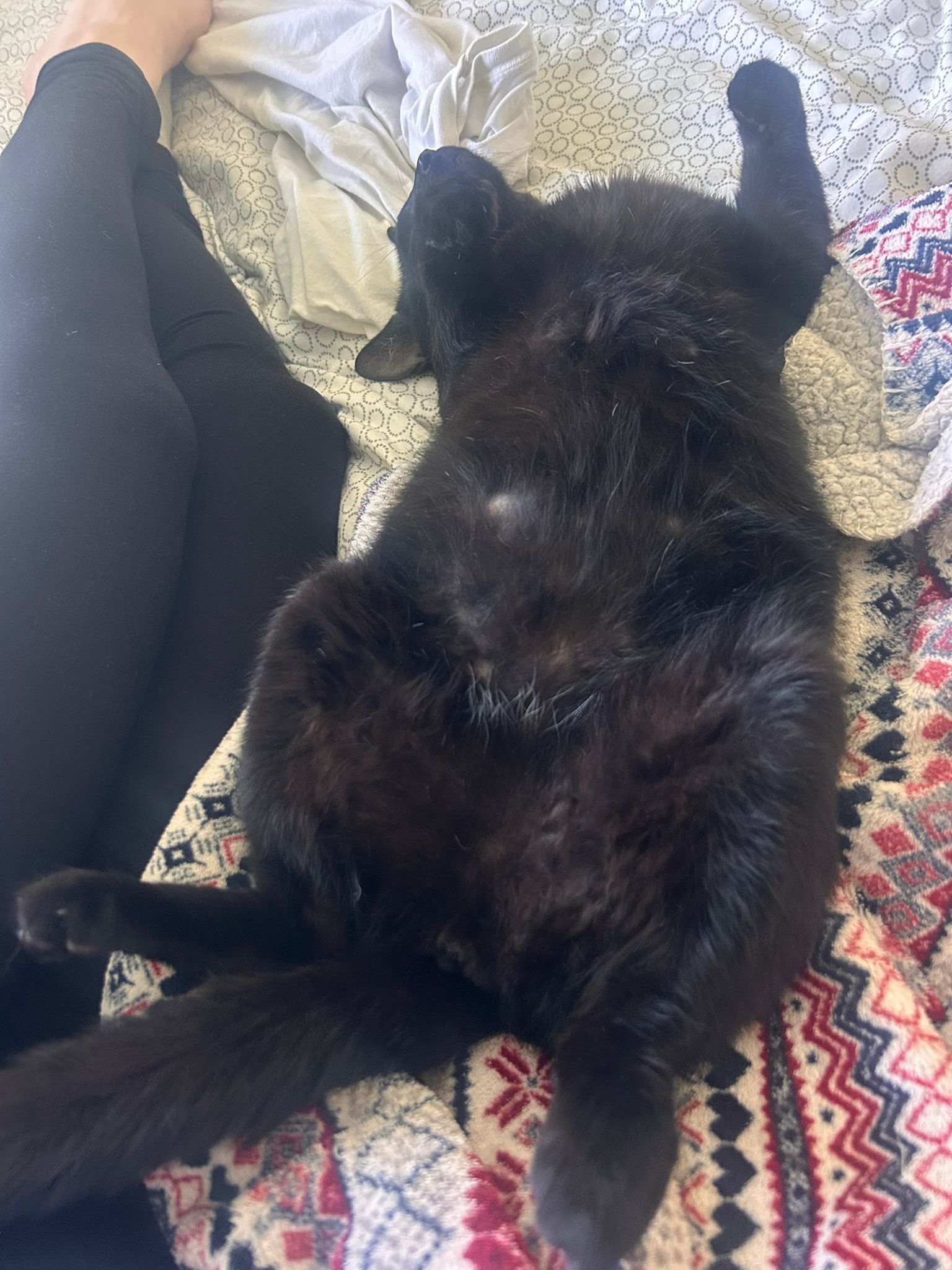 Binx