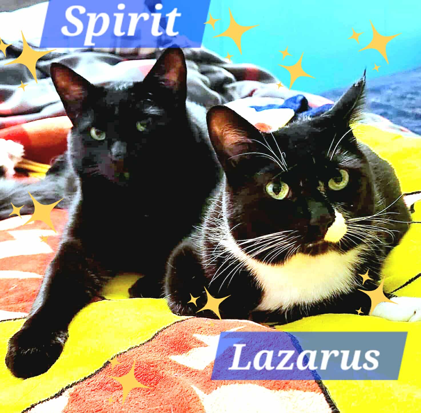Lazarus