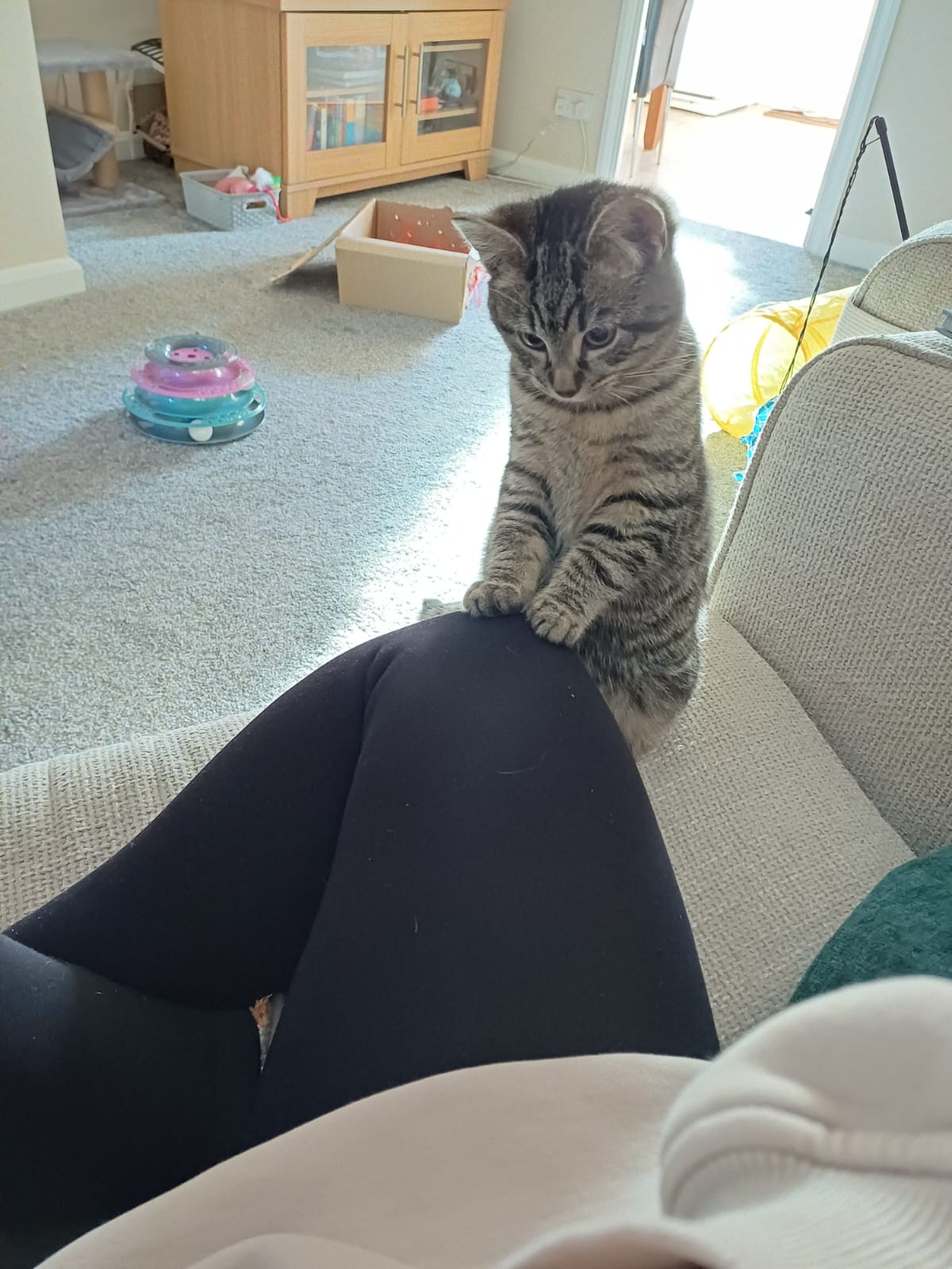 Nala