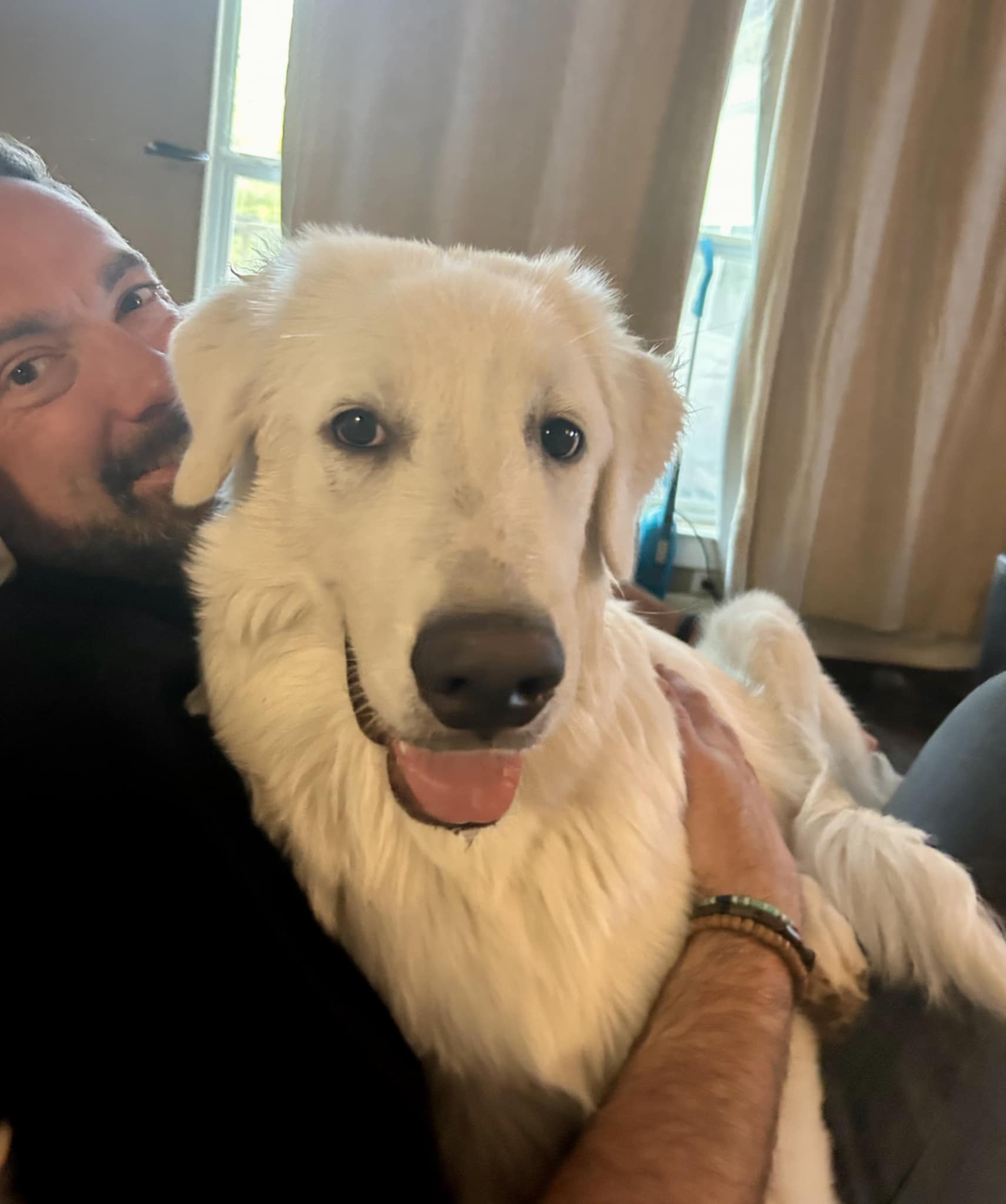 Otis
