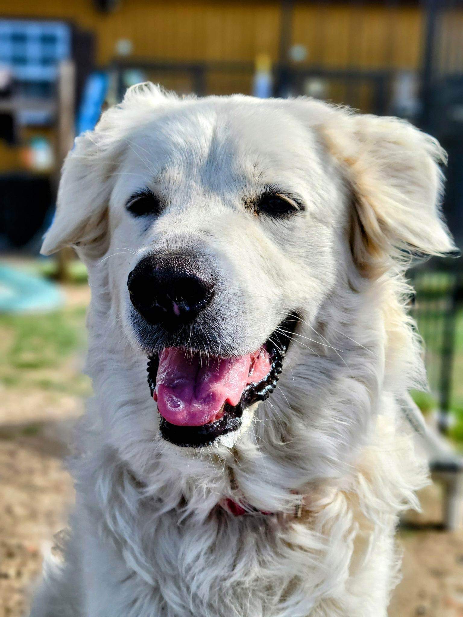 Zoey Yvette AKA Findley