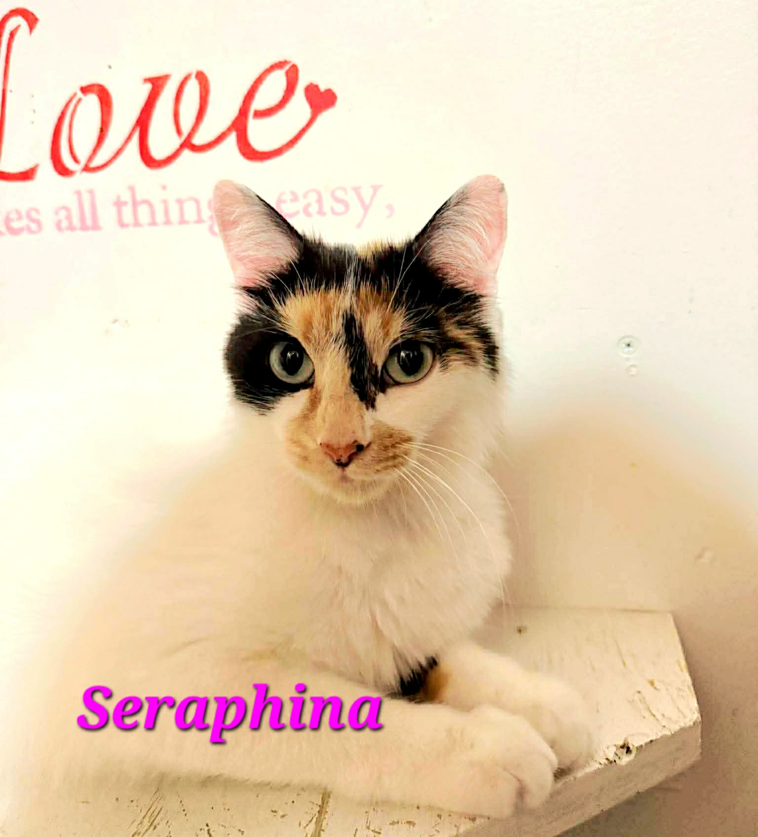 Seraphina