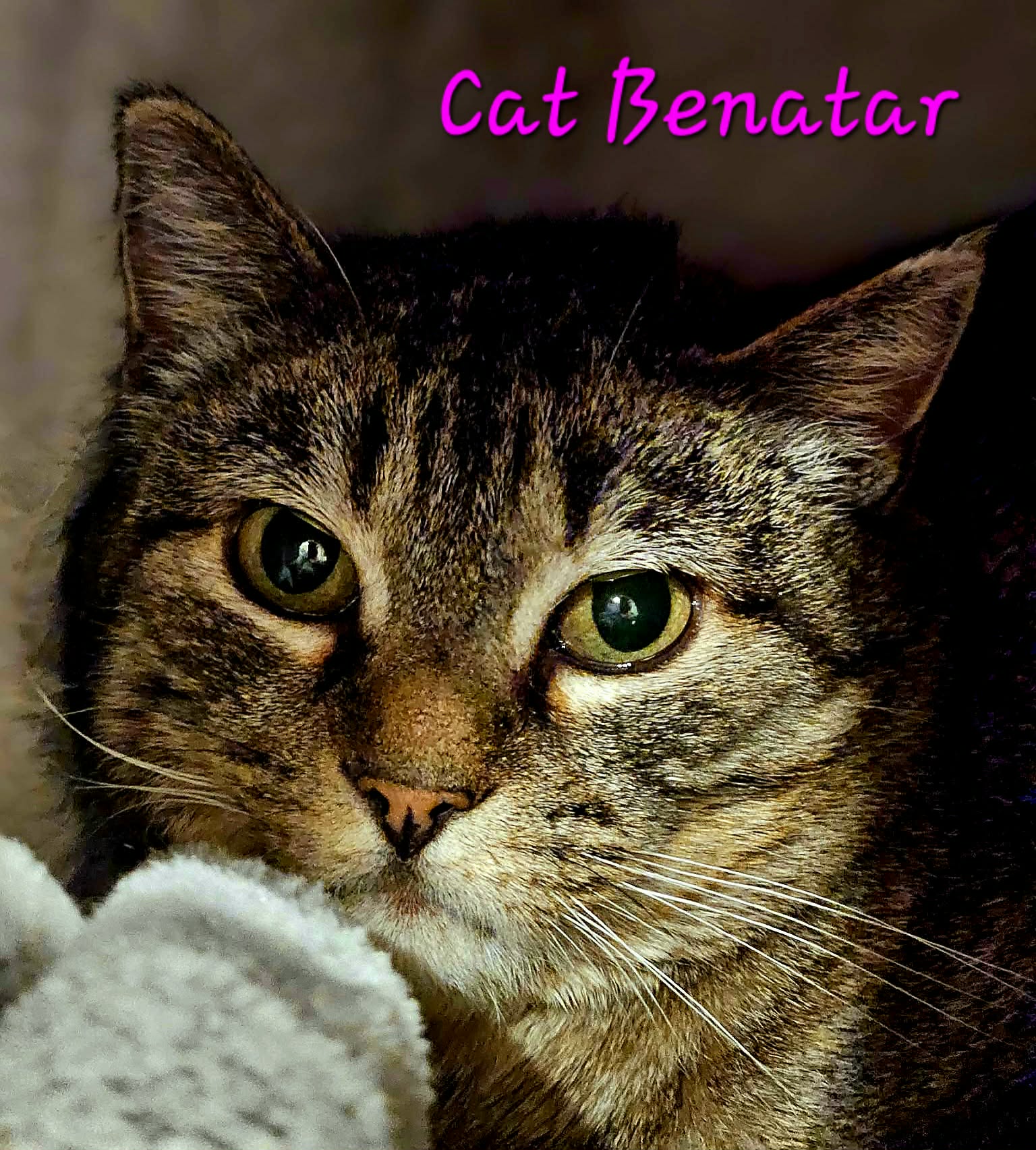 Cat Benatar