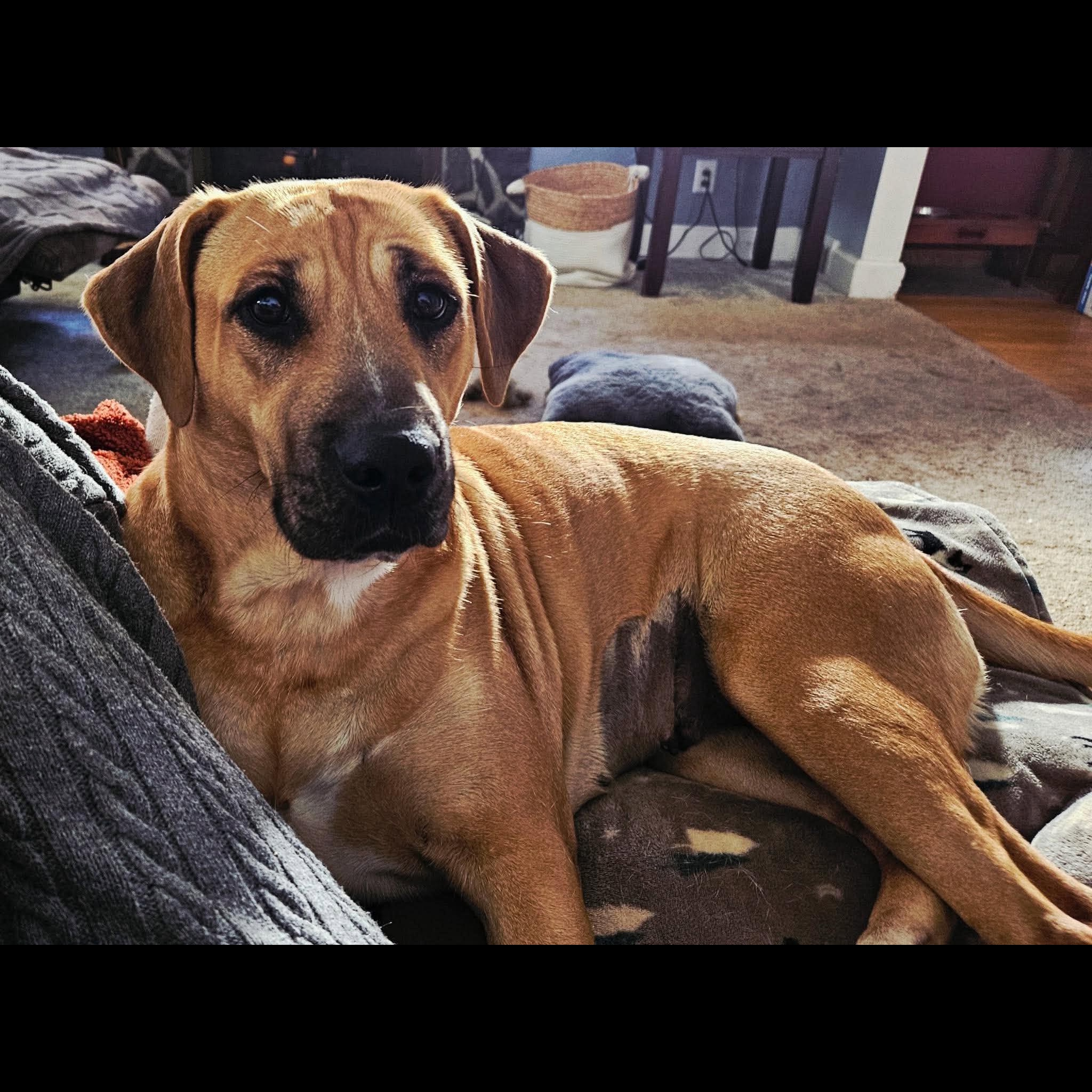 Esther