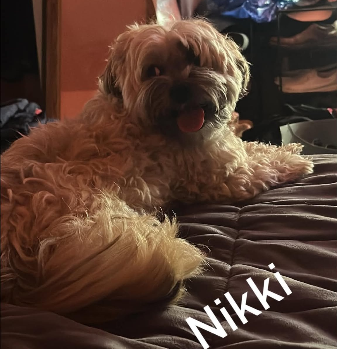 Nikki