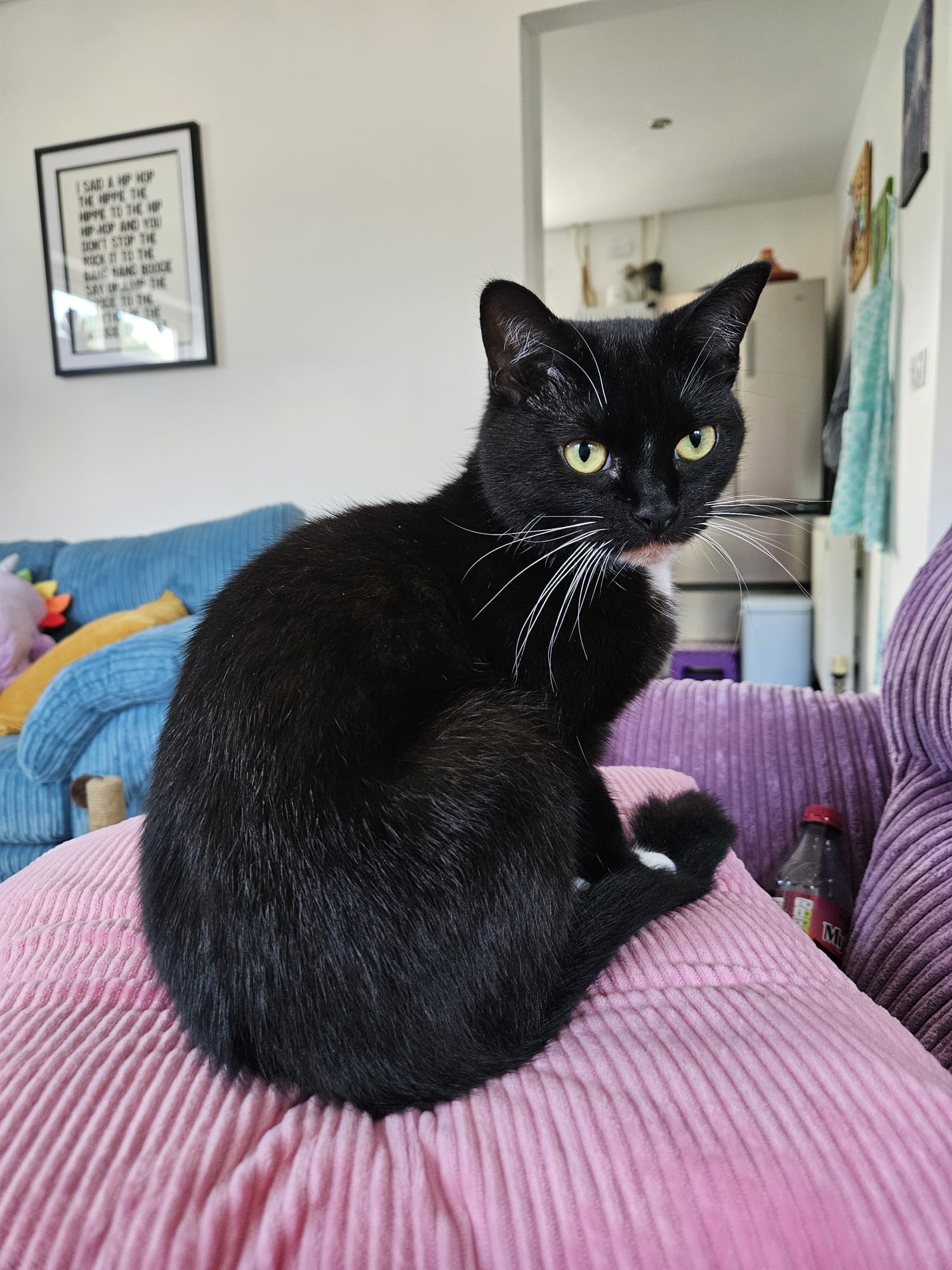 Luna