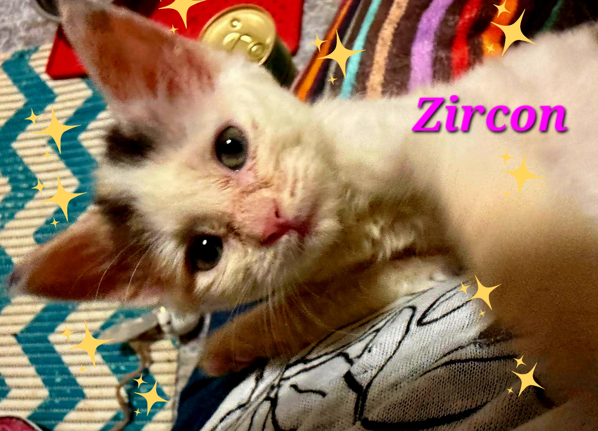 Zircon 