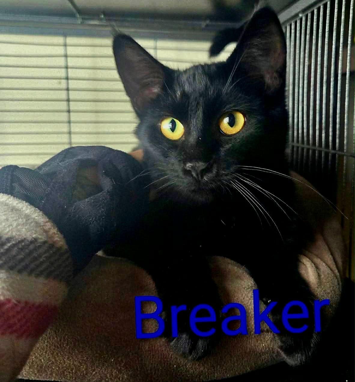 Breaker