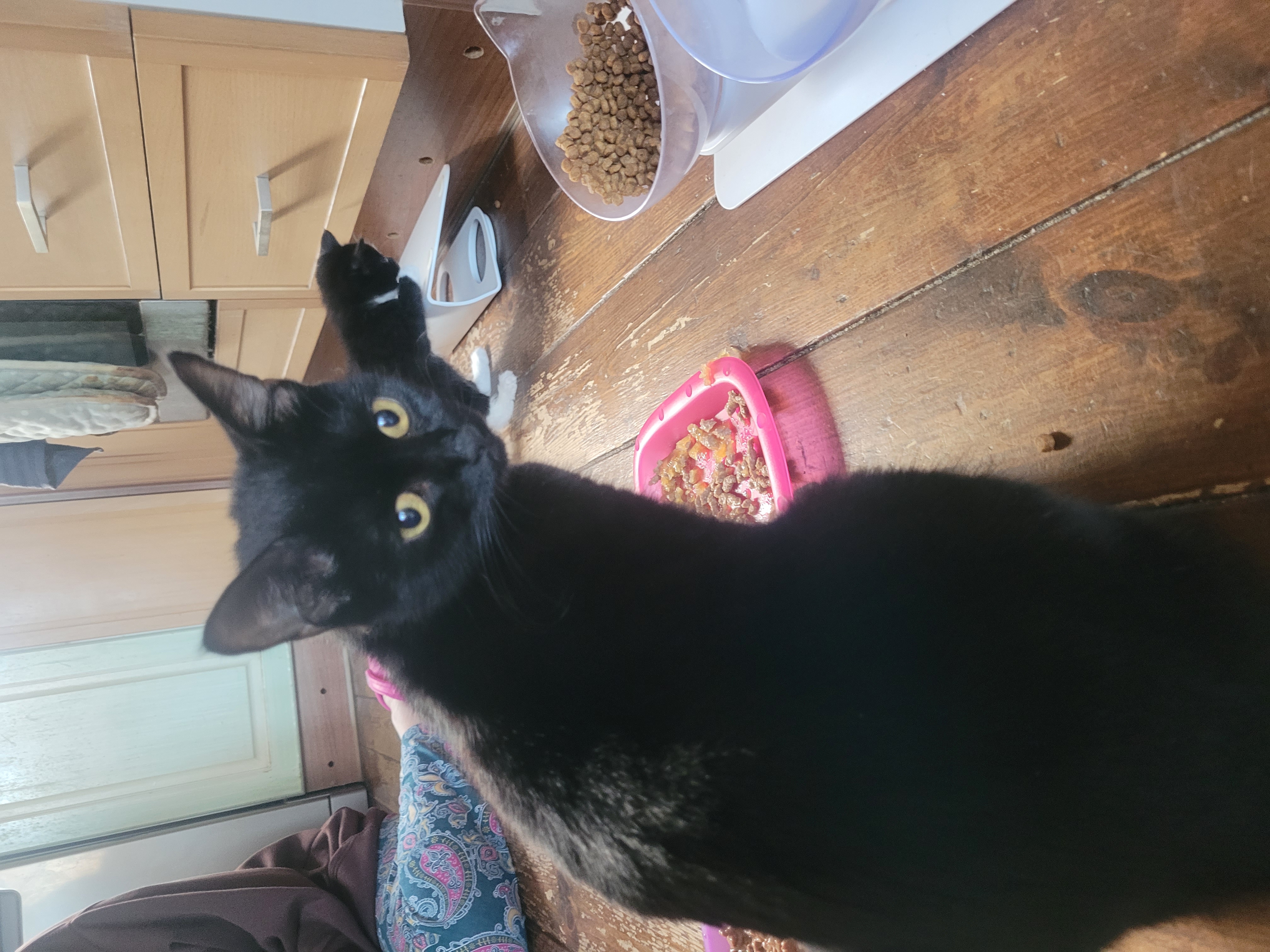 Suki