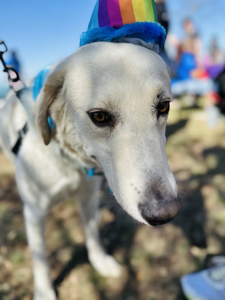 Jelly Roll, the Sweetest