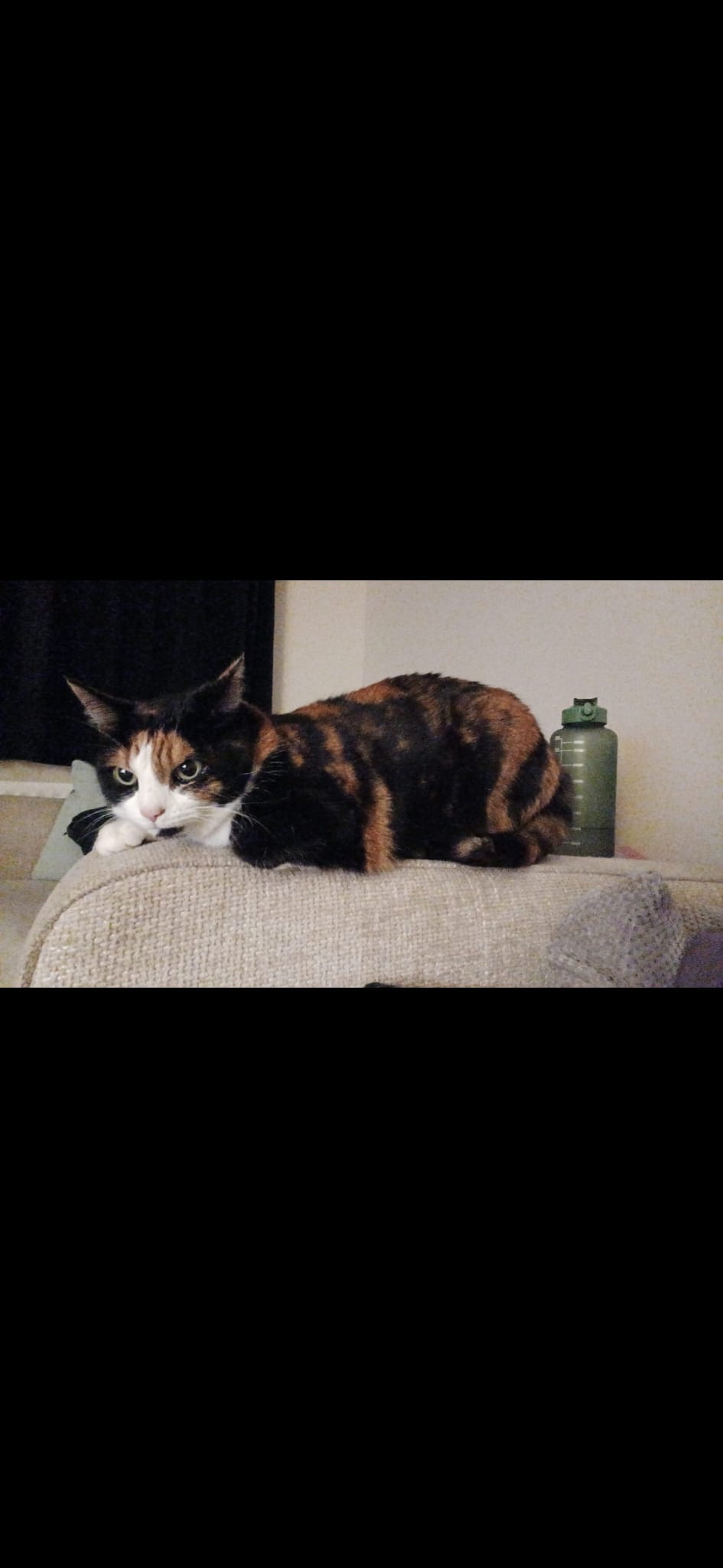Pandora