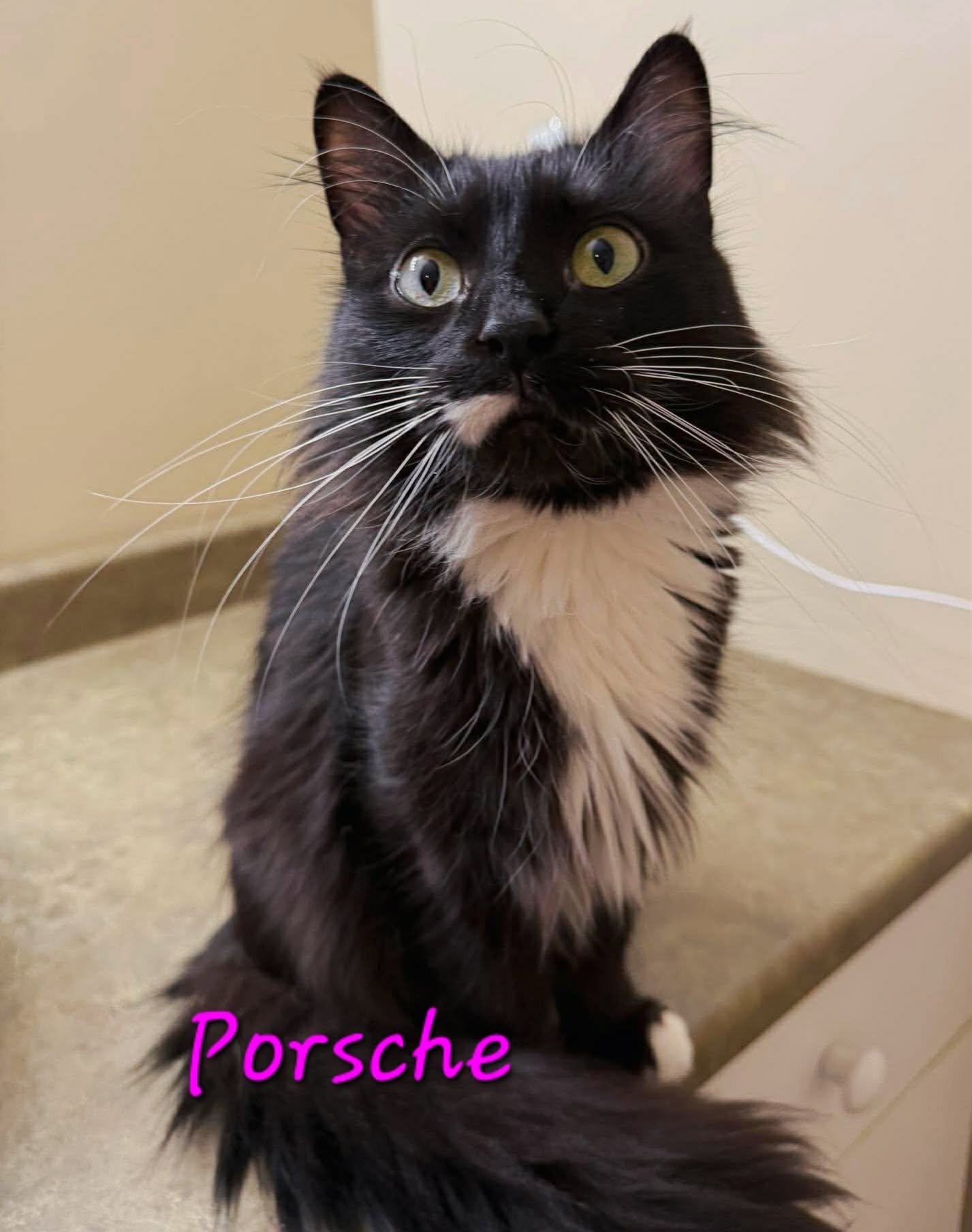Porsche fka Porch