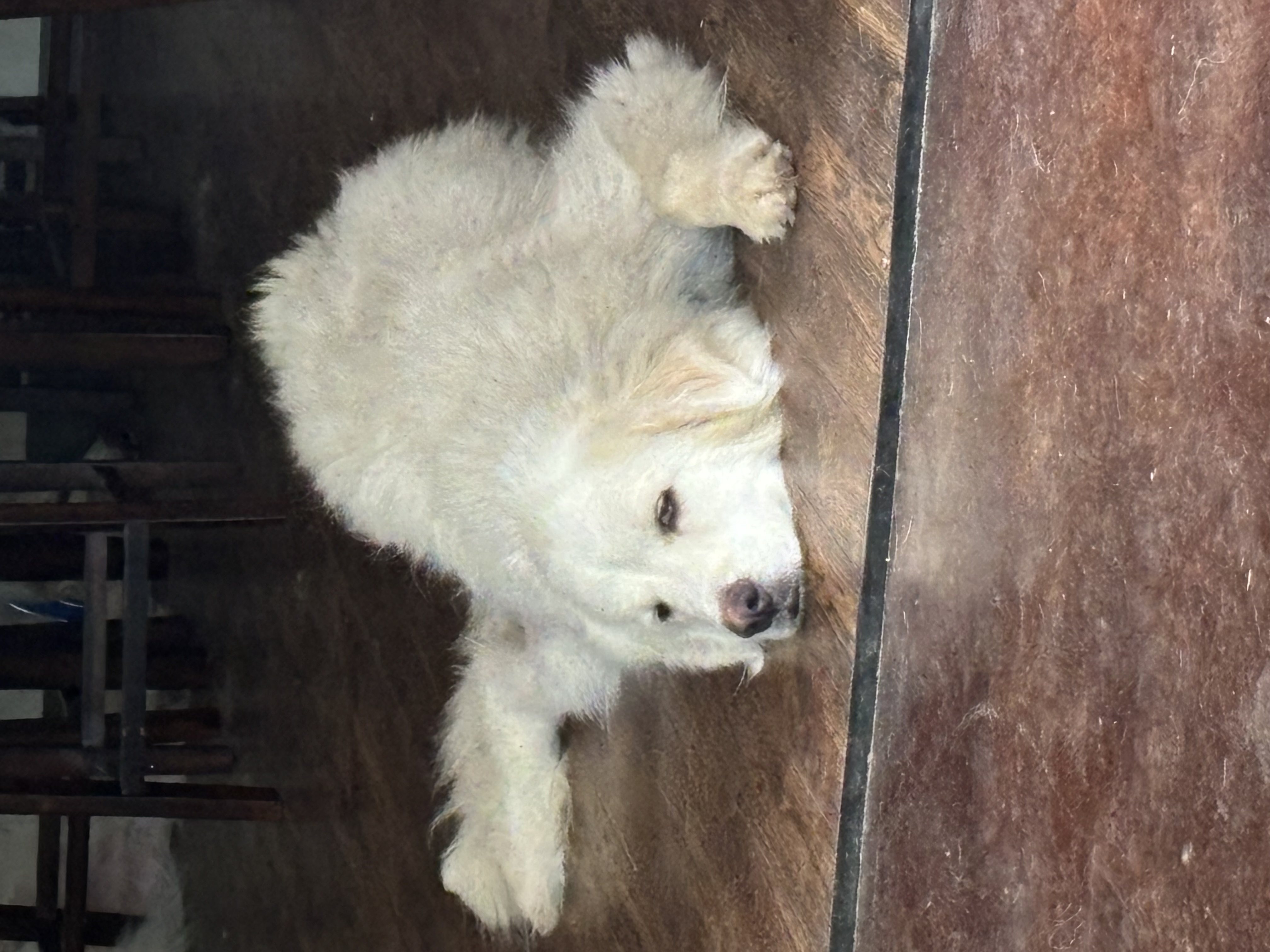 Jethro