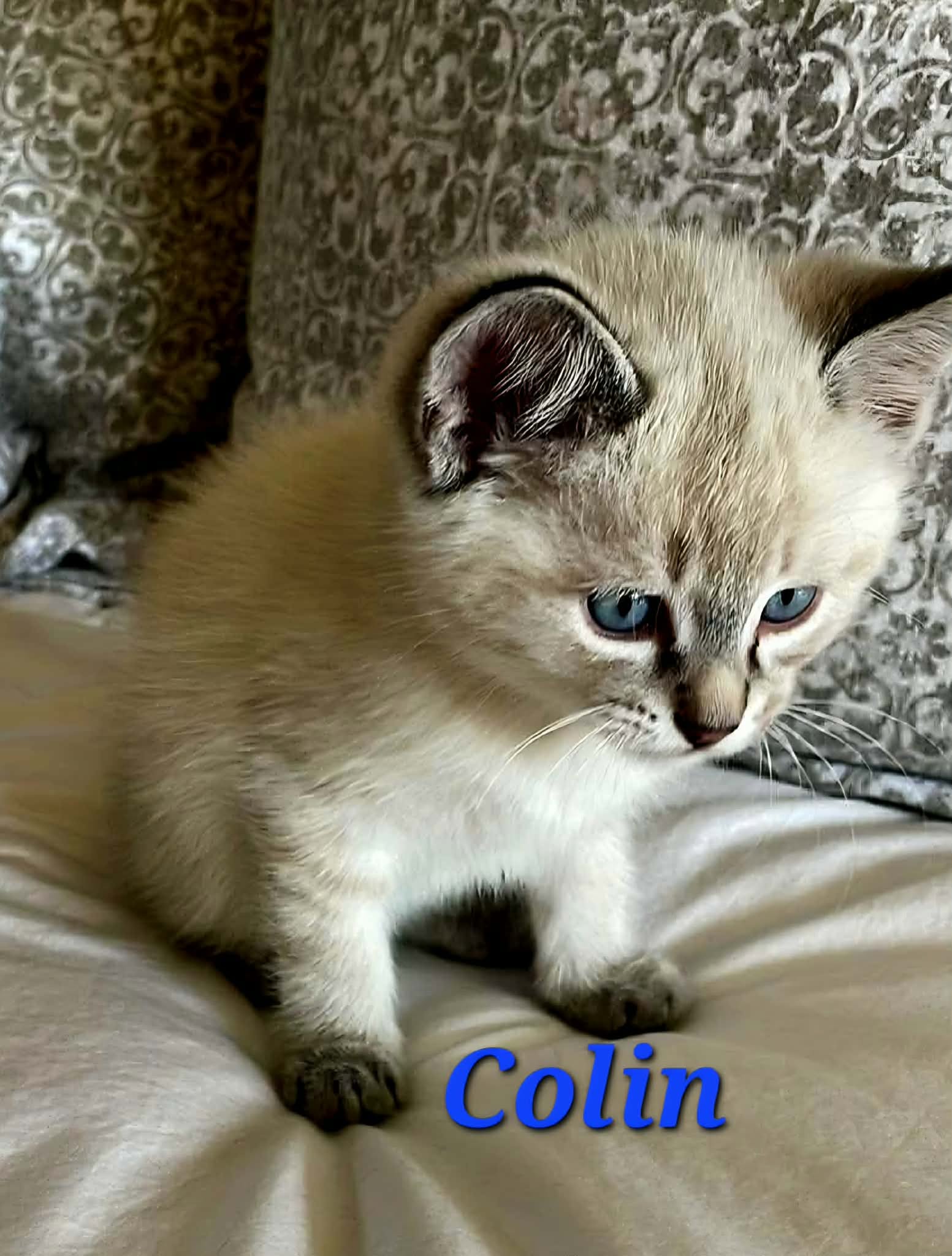 Colin -  (mom Bridget)