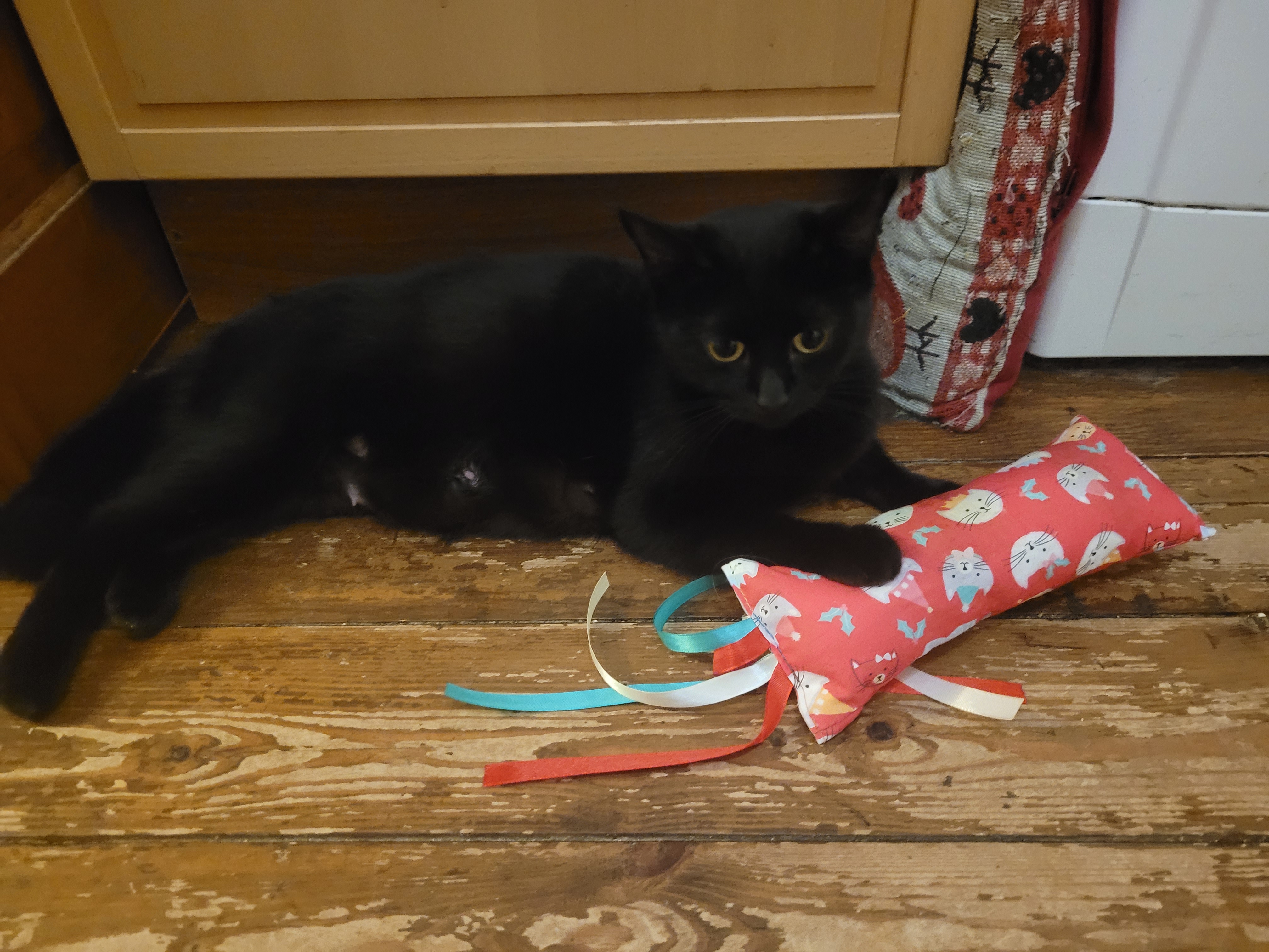 Suki