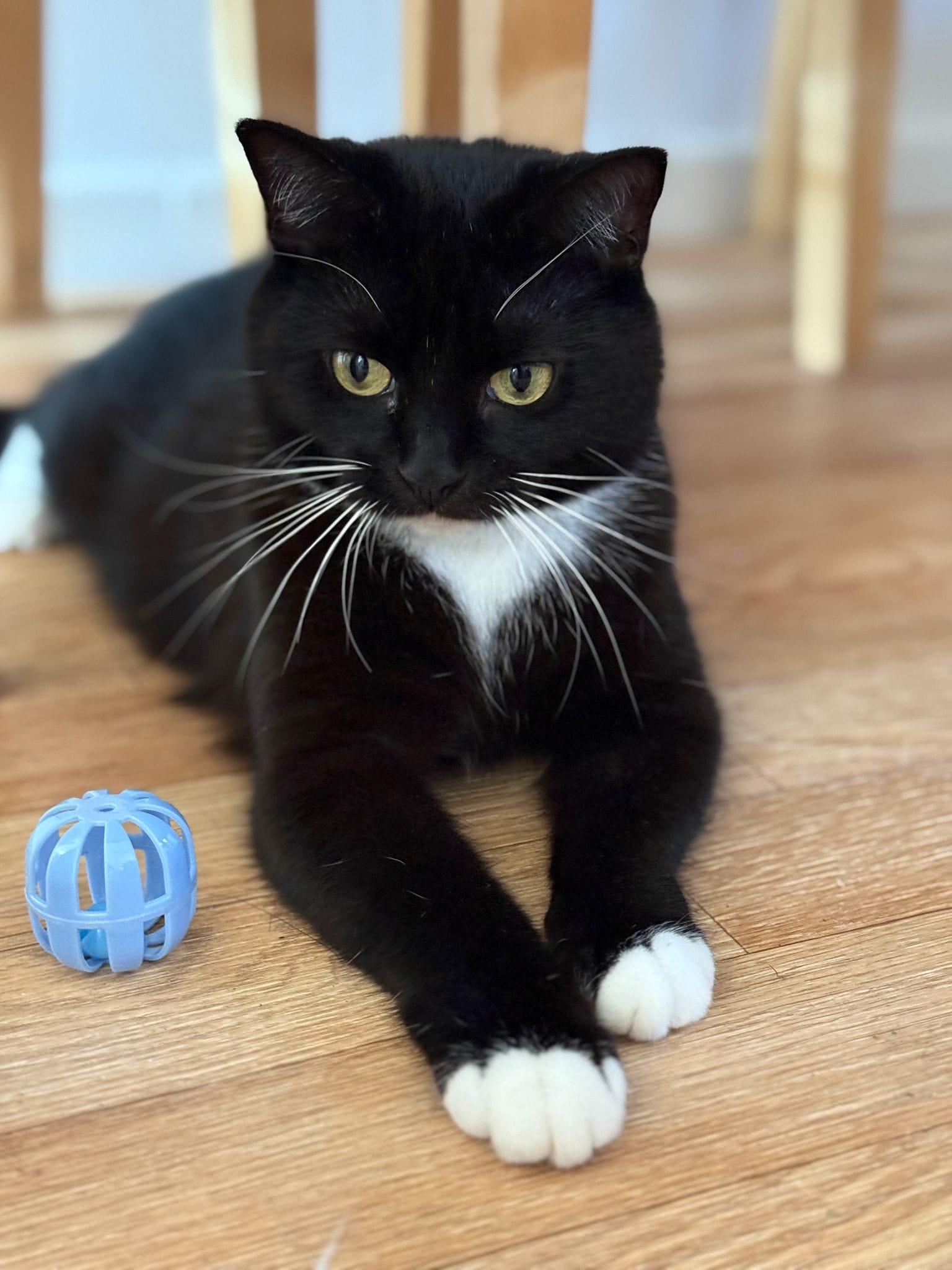 Luna