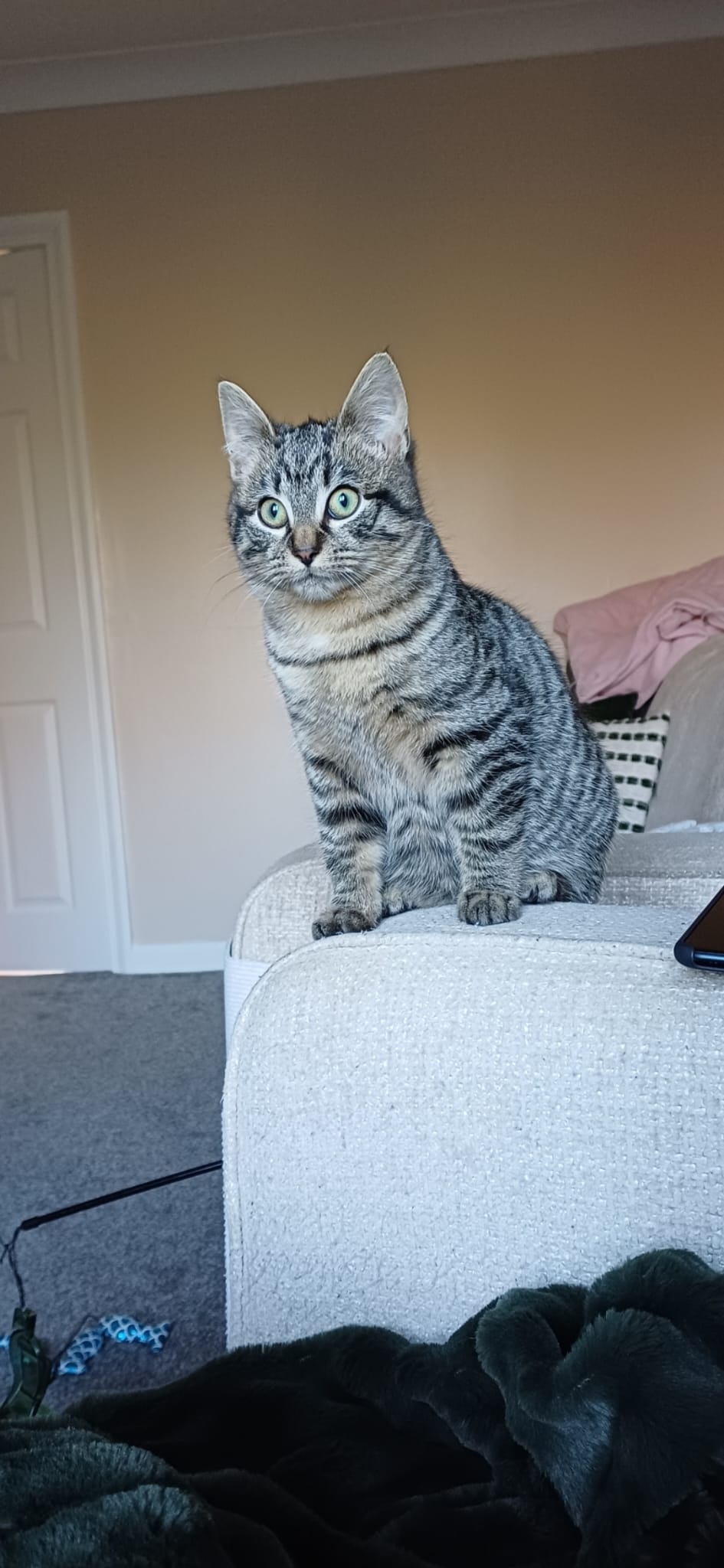 Nala