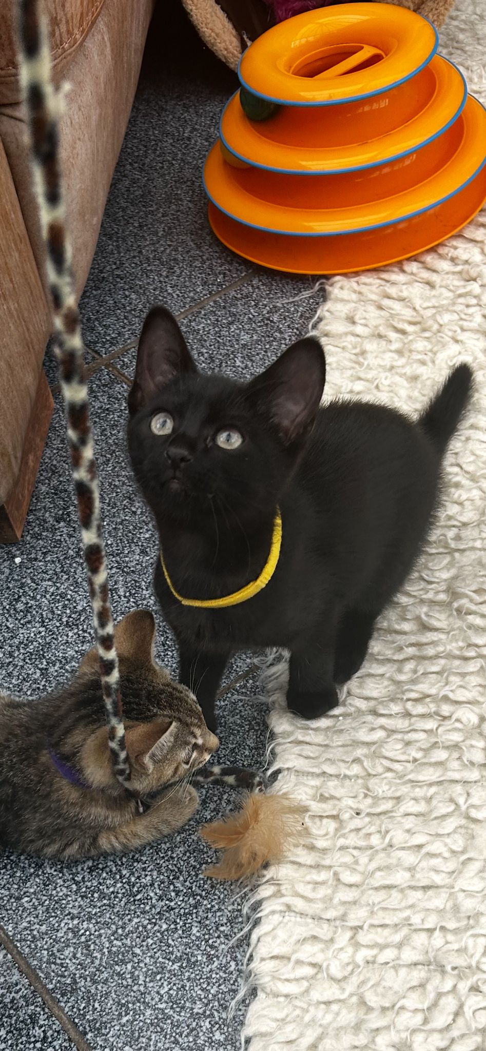 Freya