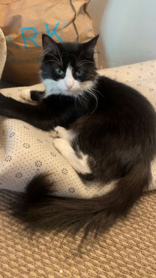 Luna