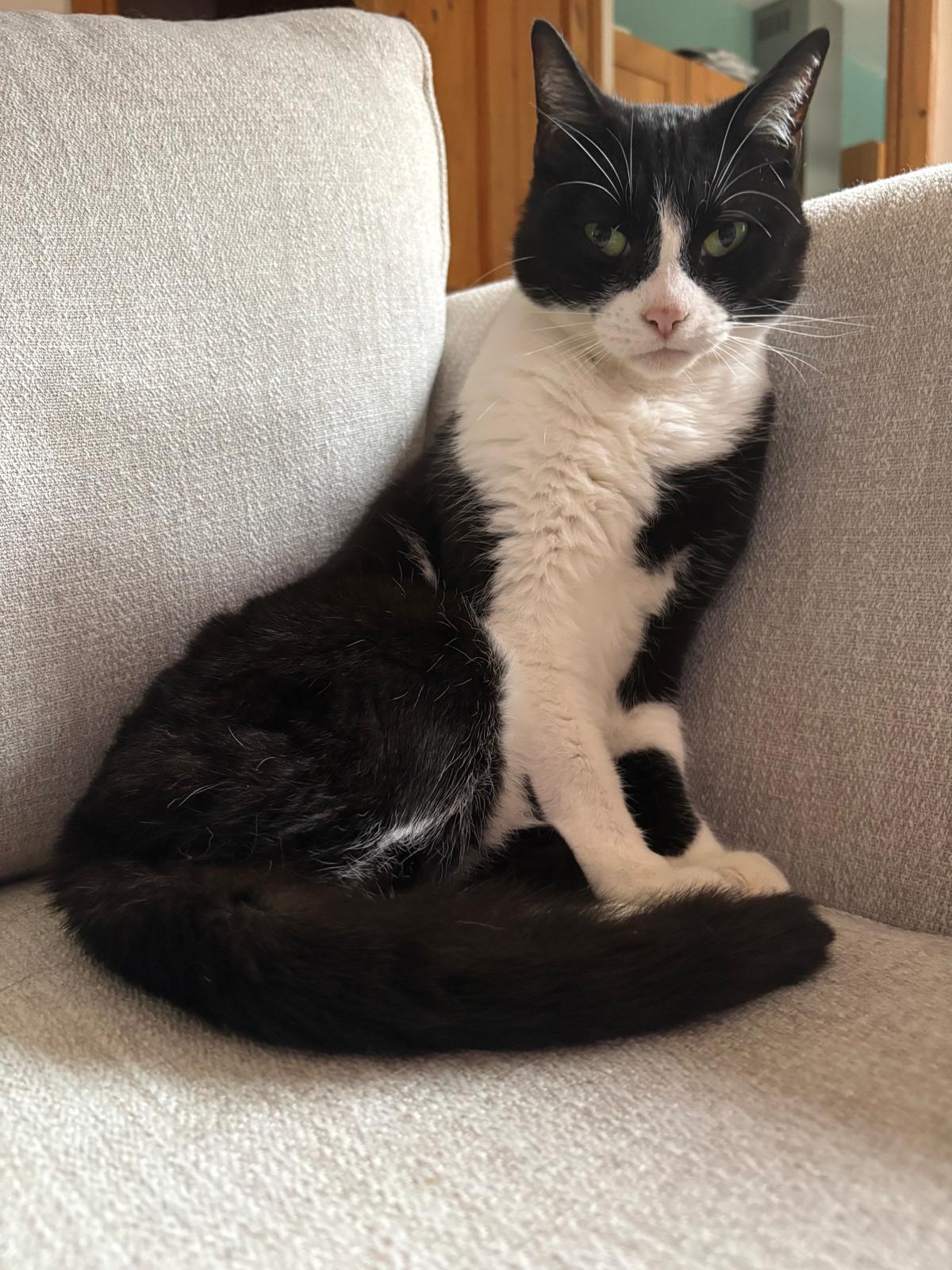 Sophia