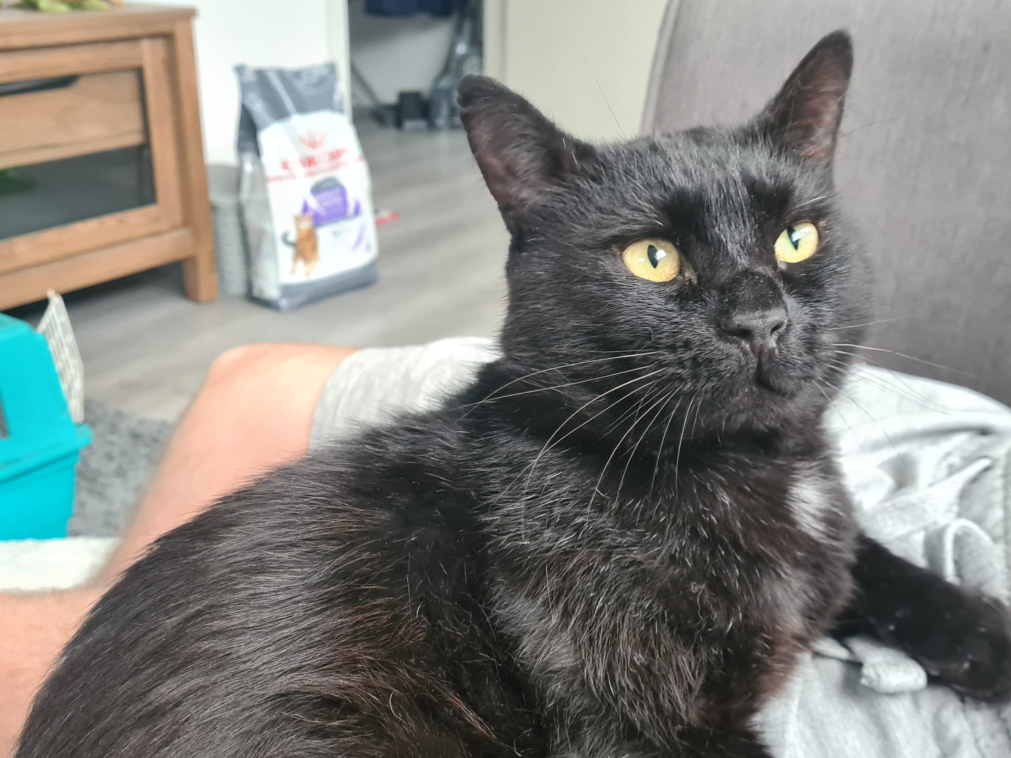 Binx