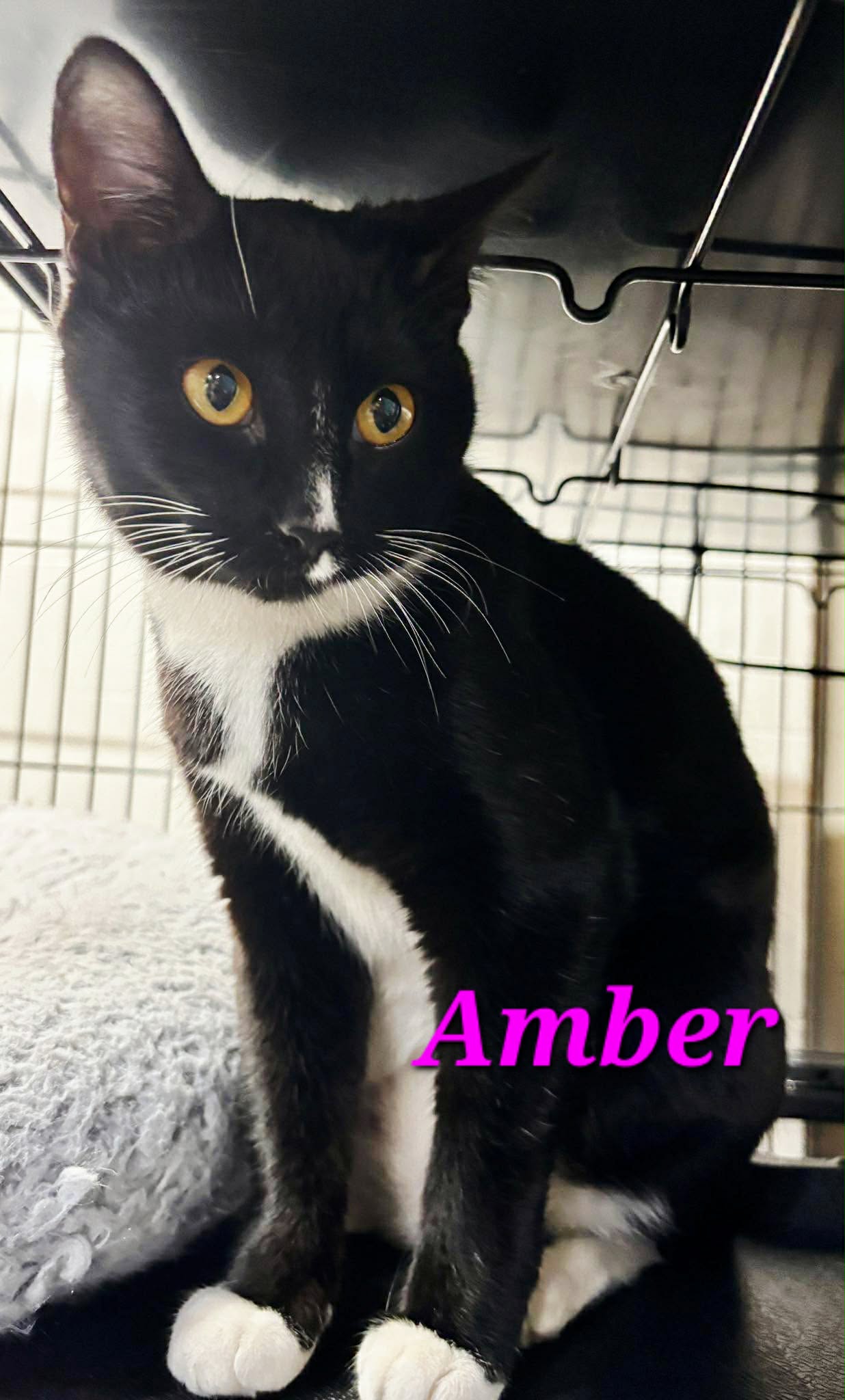 Amber