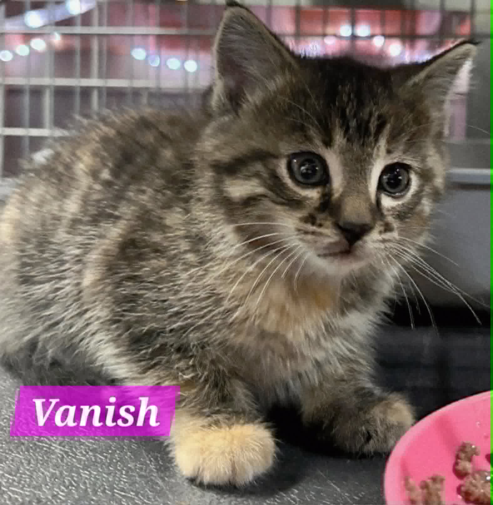 Vanish