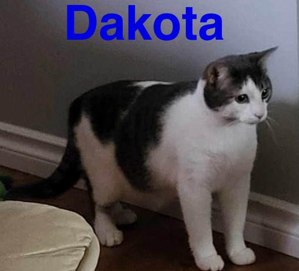 Dakota
