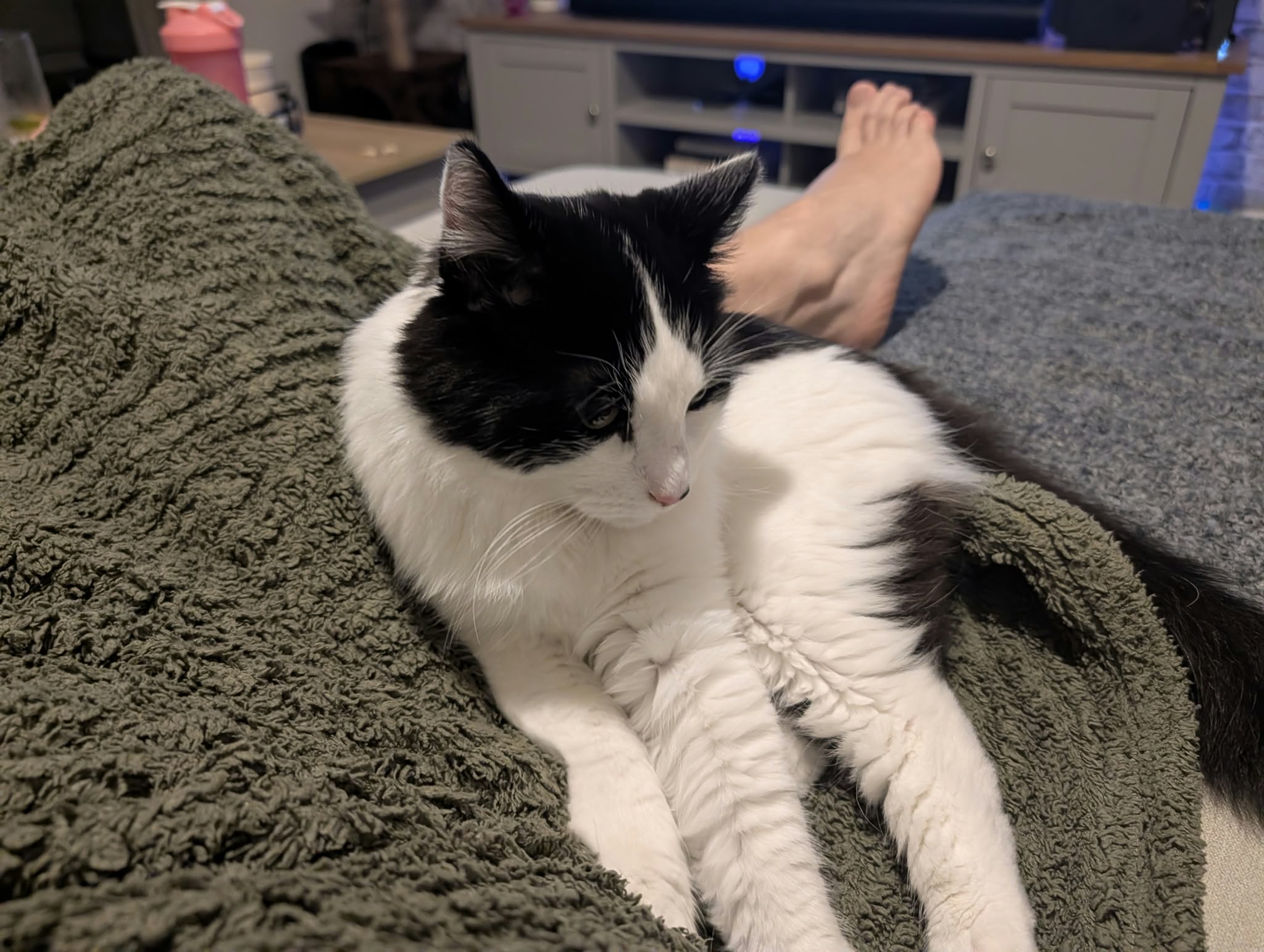 Oreo