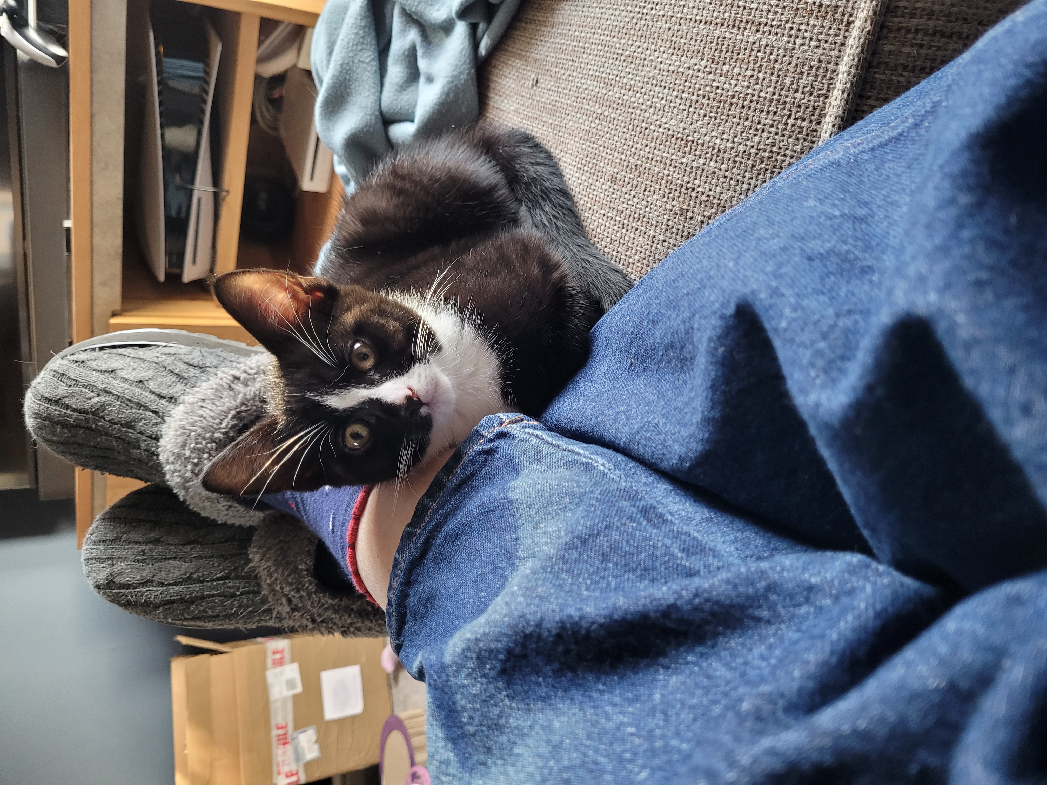 Delilah