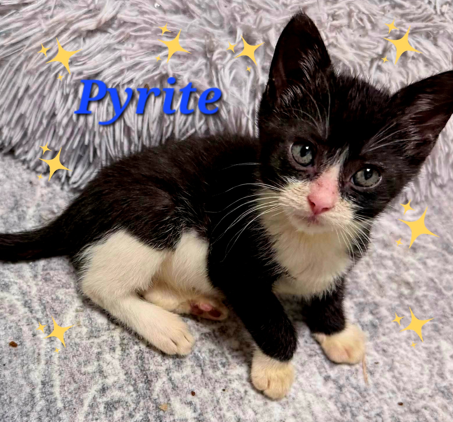 Pyrite