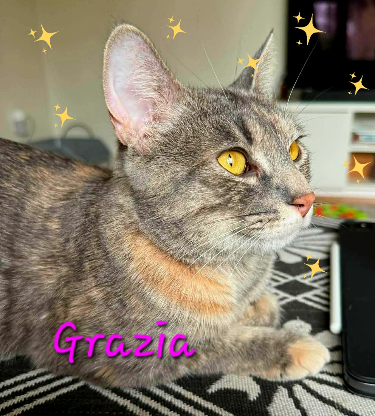 Grazia