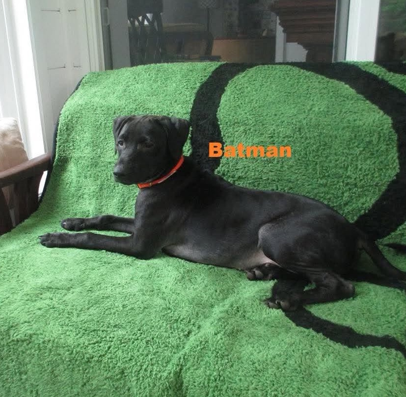 Batman