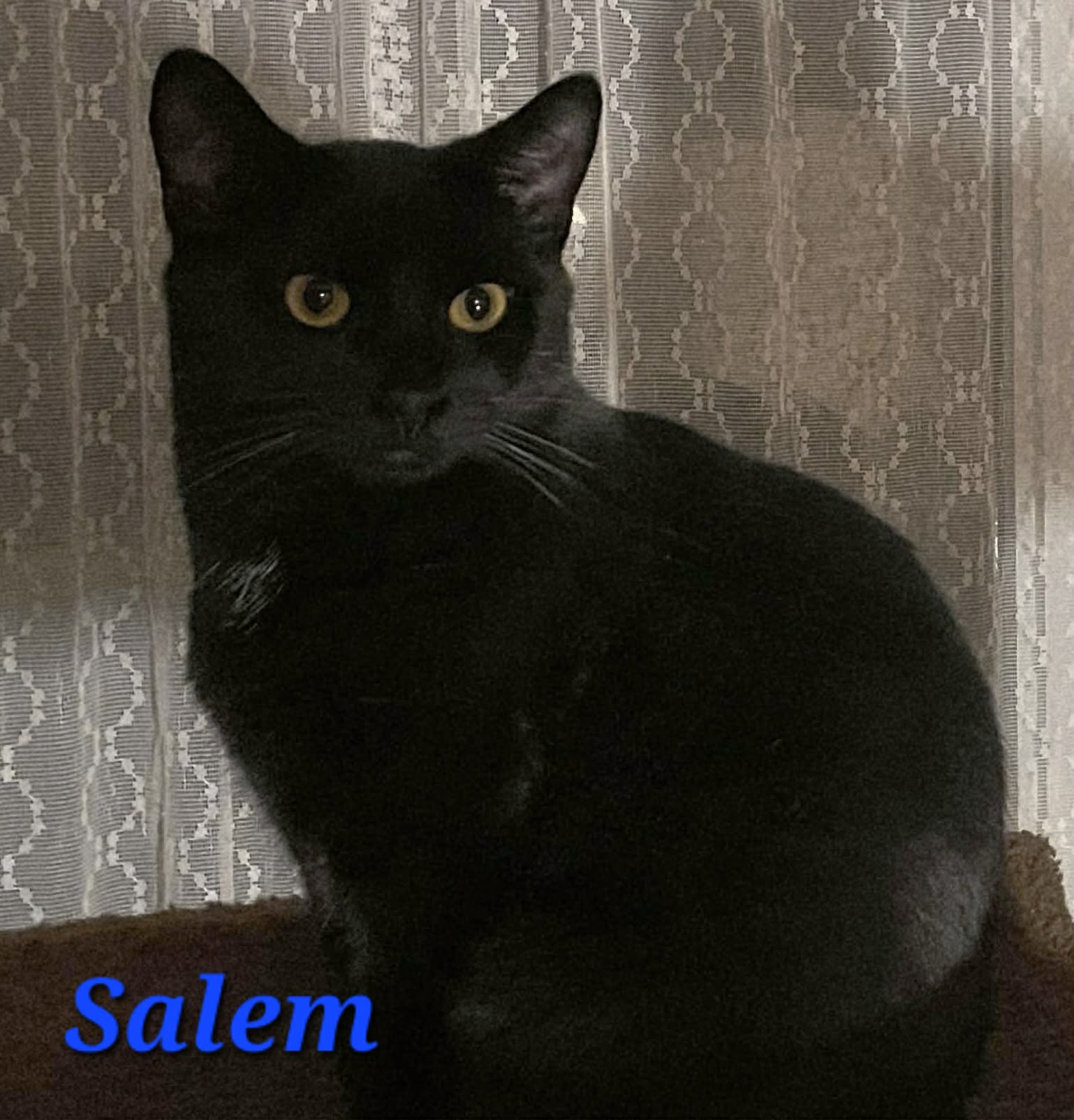 Salem