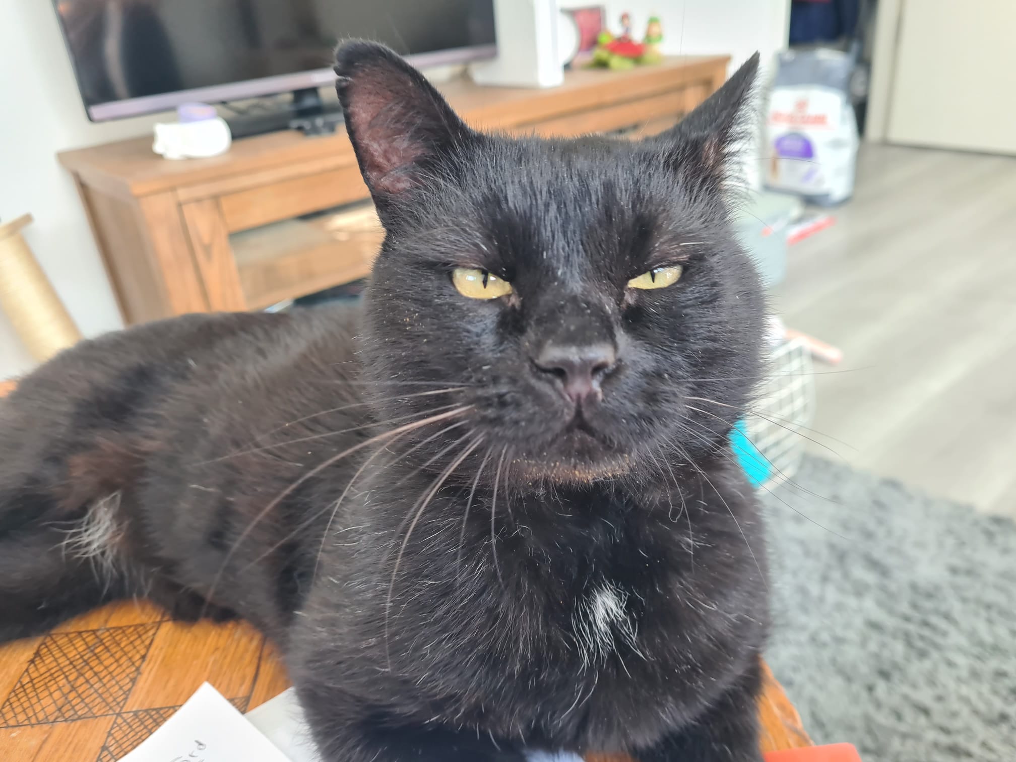 Binx