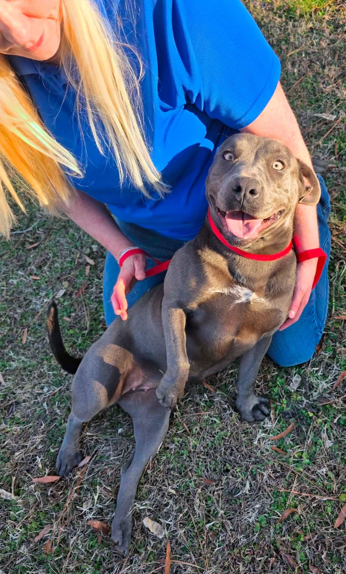 Sunshine: Adopt or Forever Foster