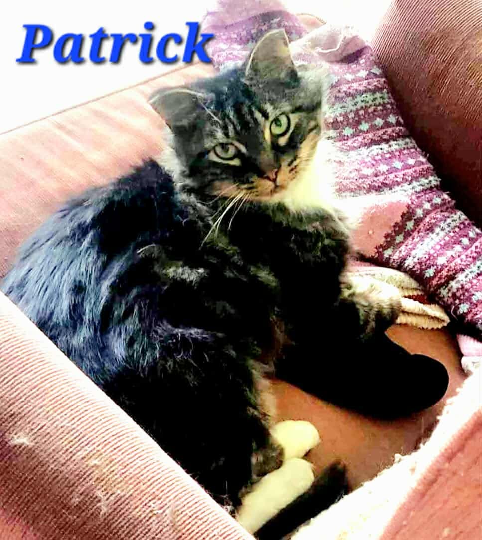 Patrick