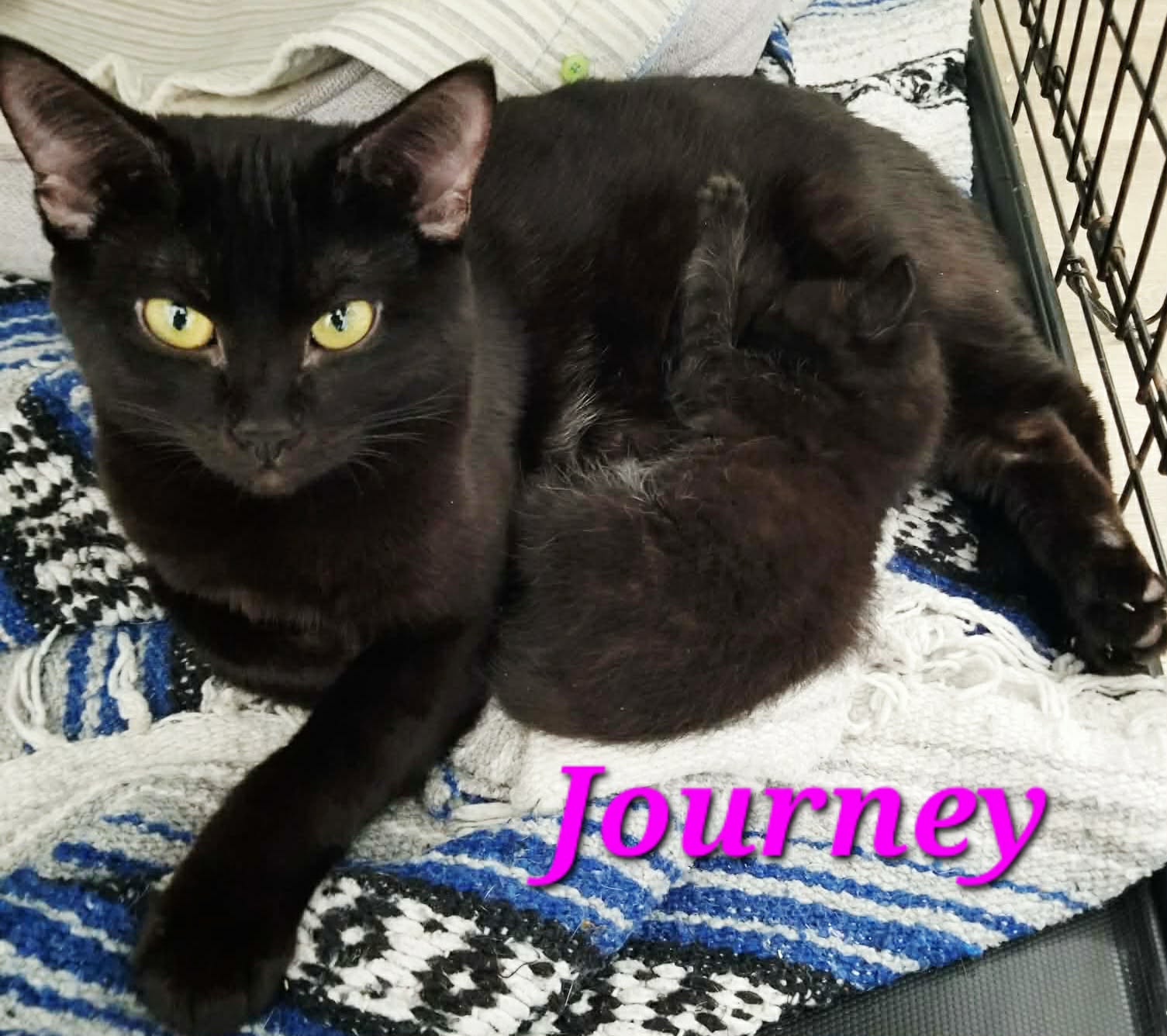 Journey mom