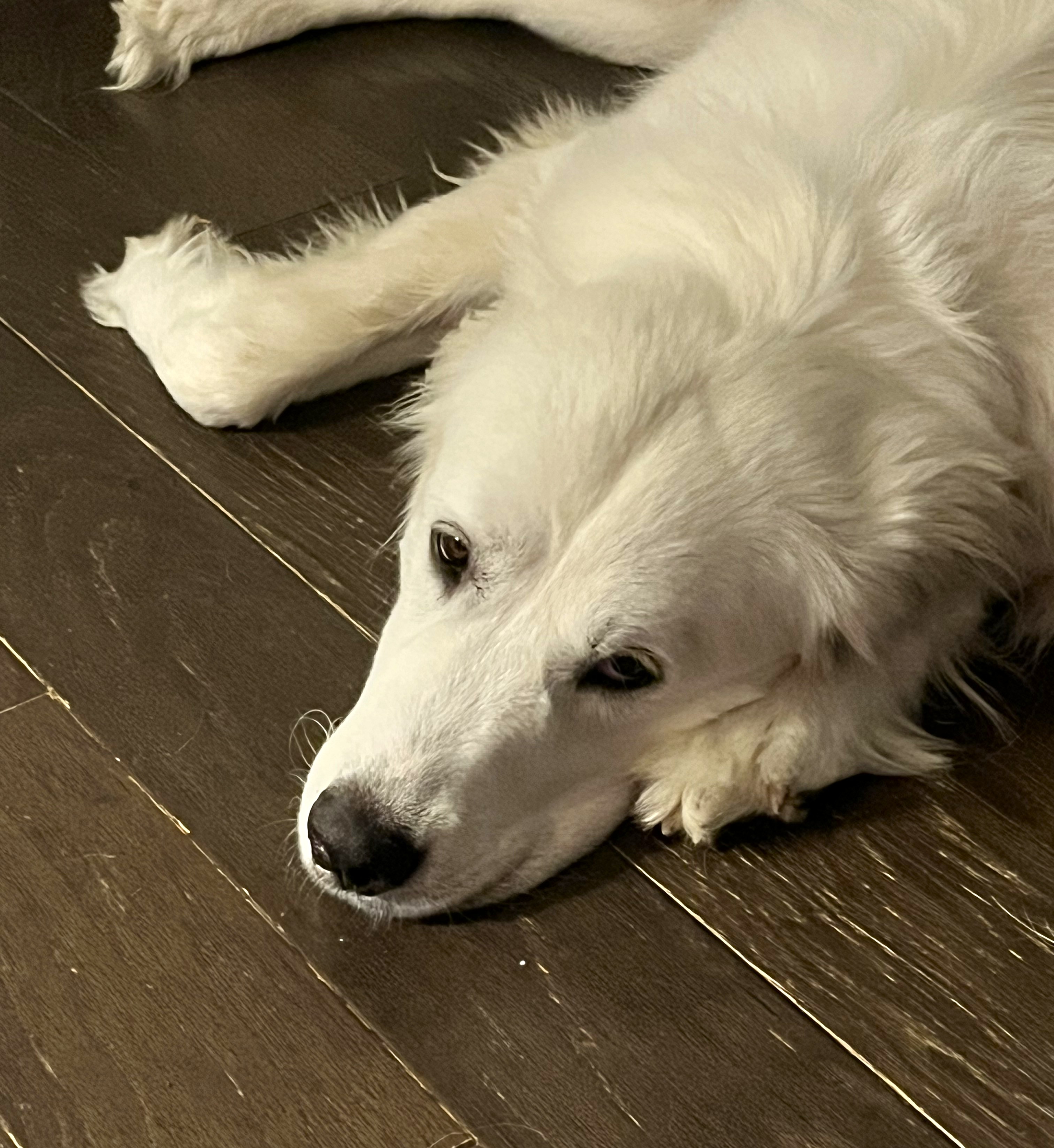 Delilah
