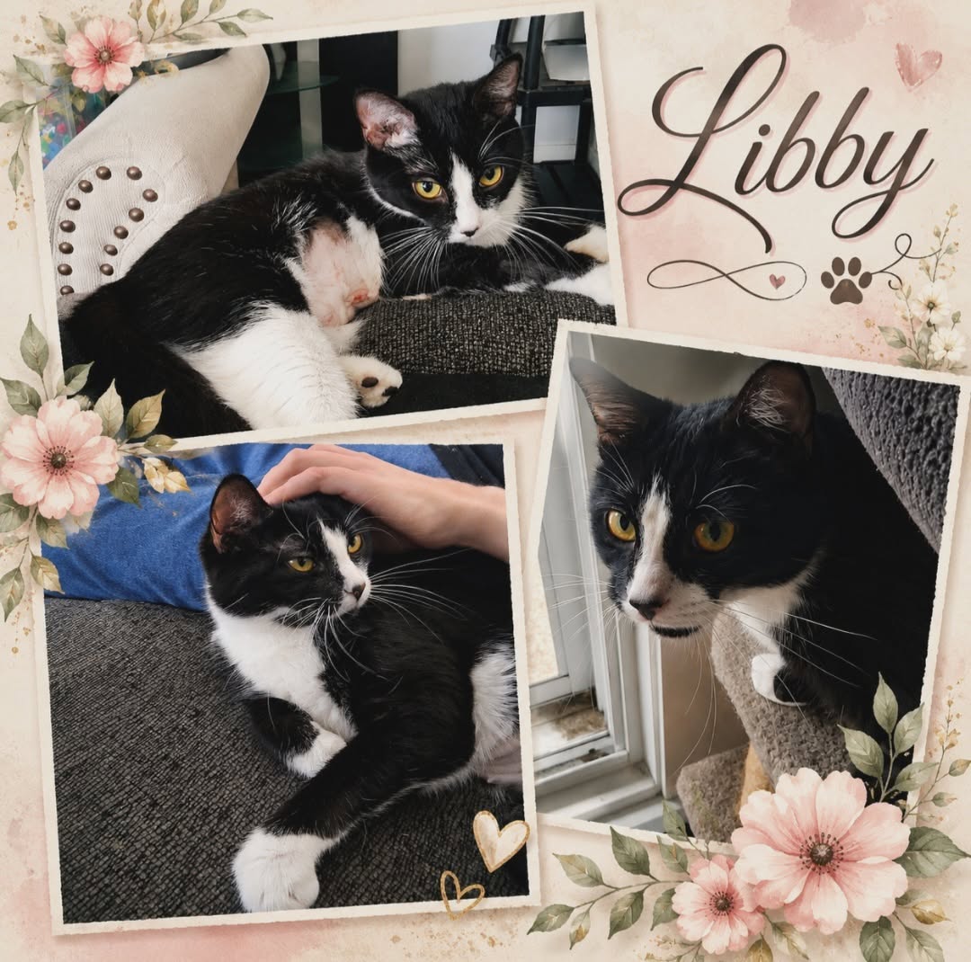 Libby