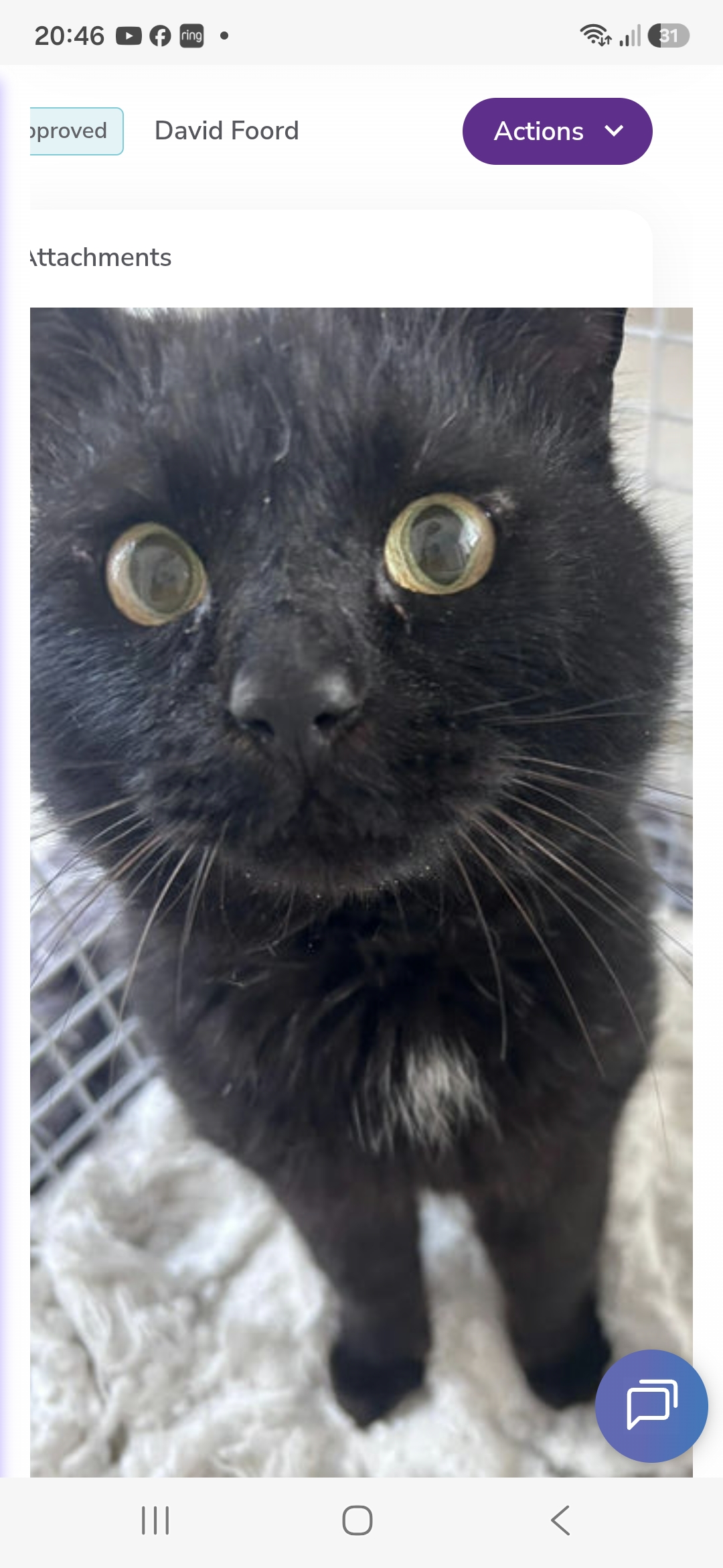 Binx