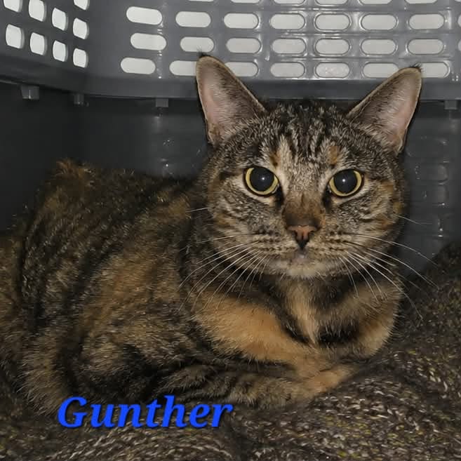 Gunther