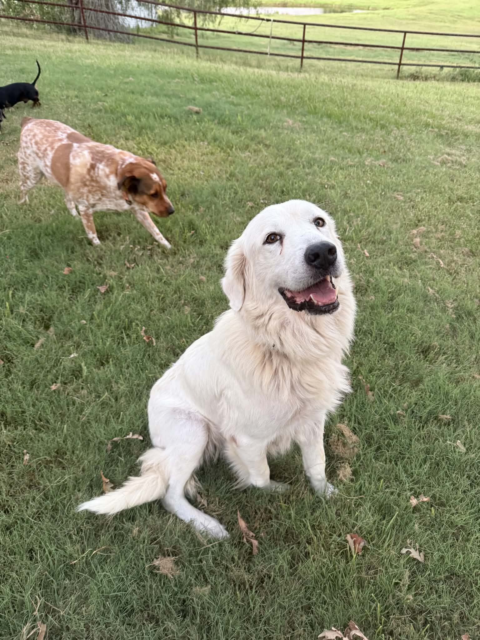 Elinor