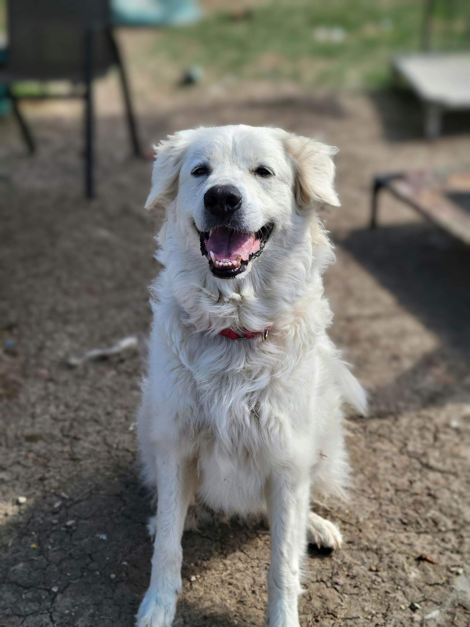 Zoey Yvette AKA Findley