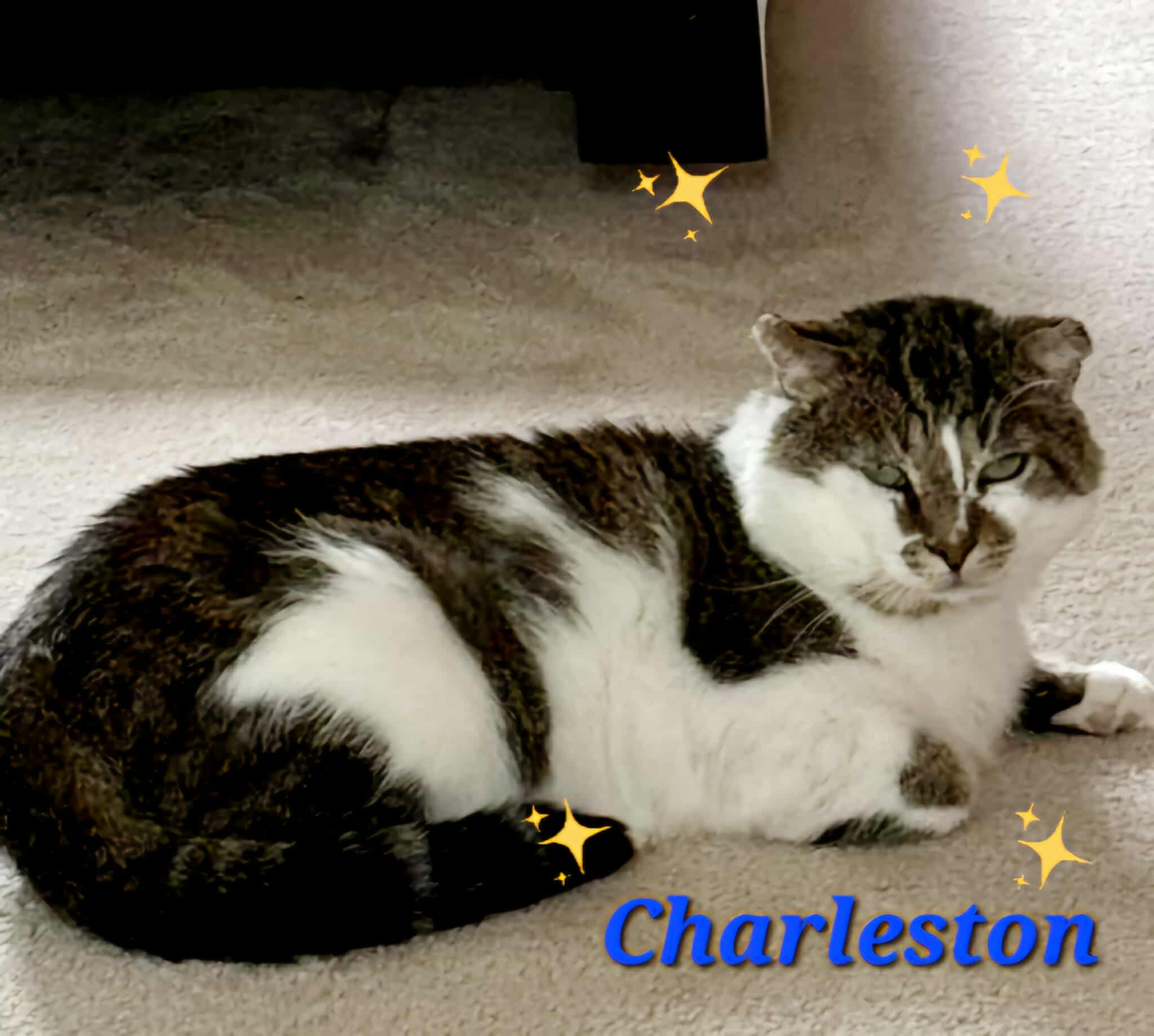 Charleston 