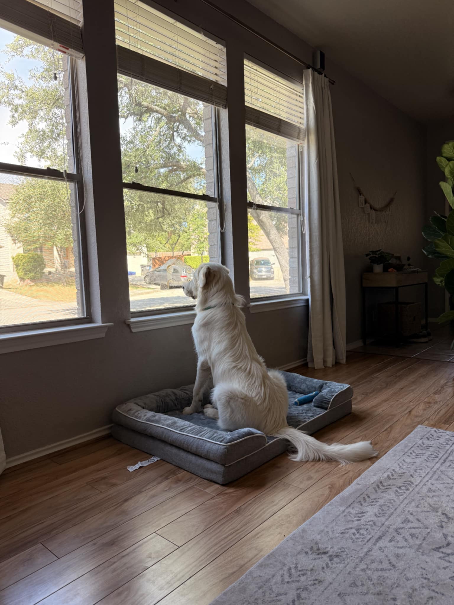 Otis