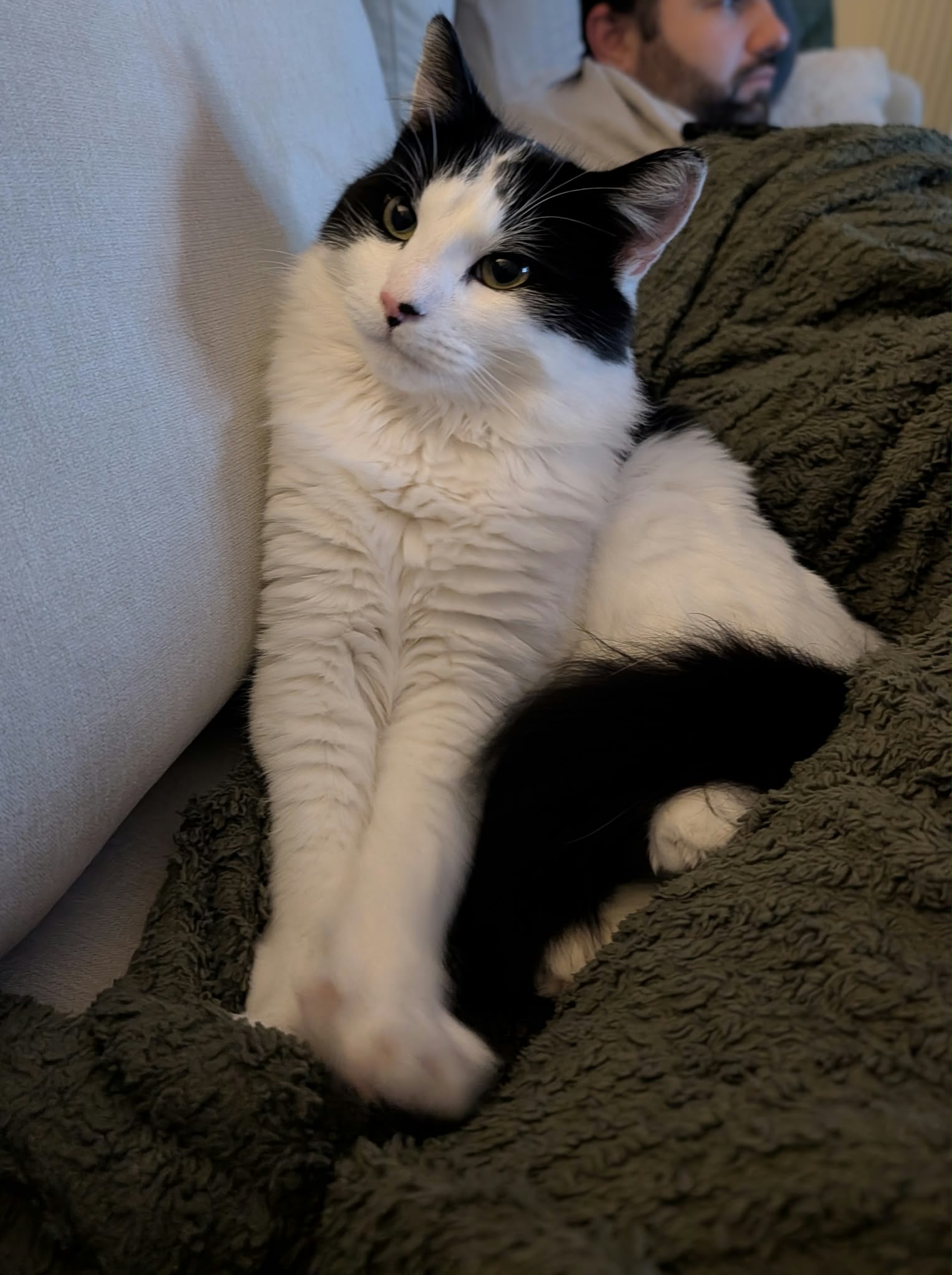 Oreo