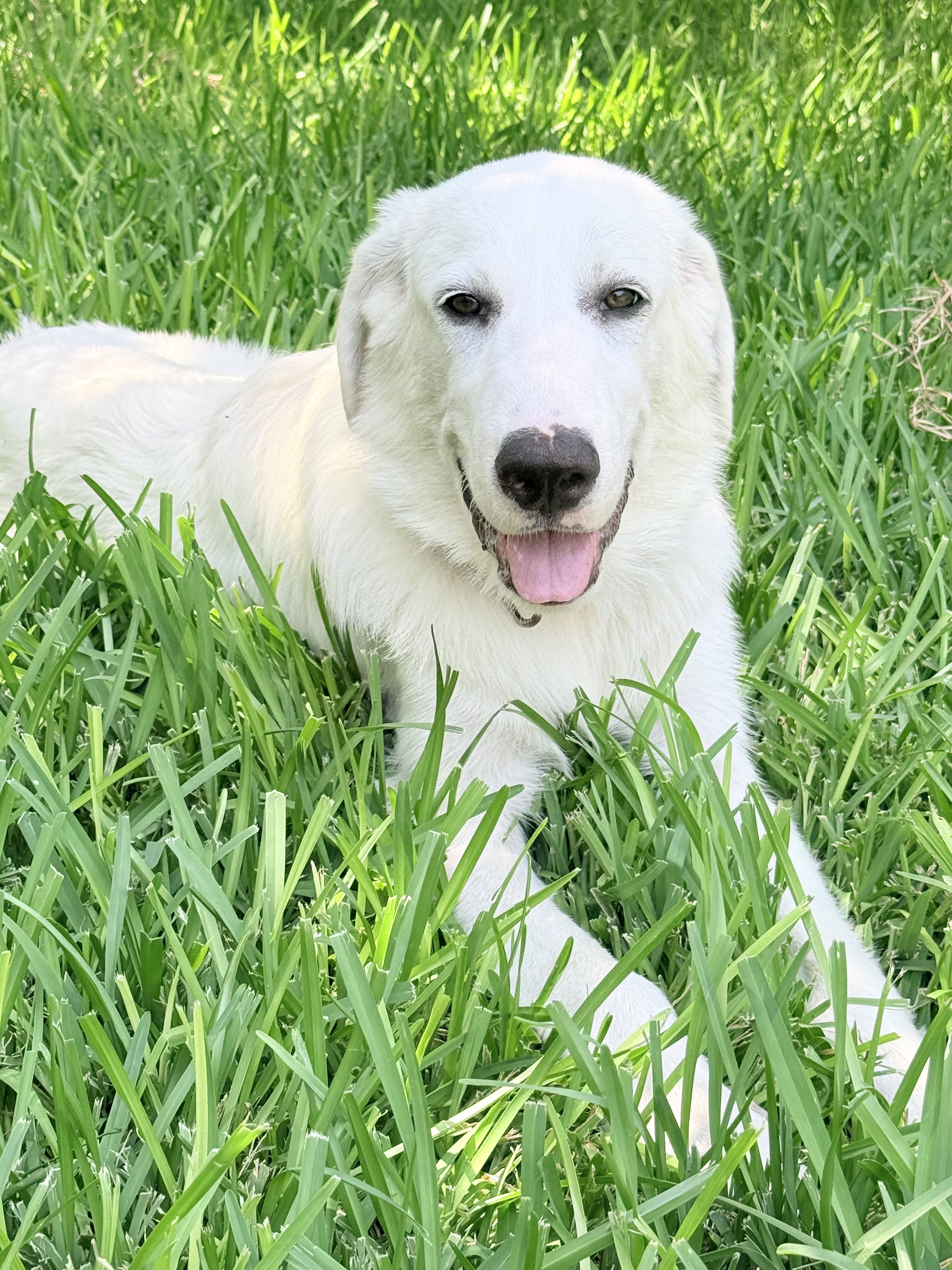 Mason