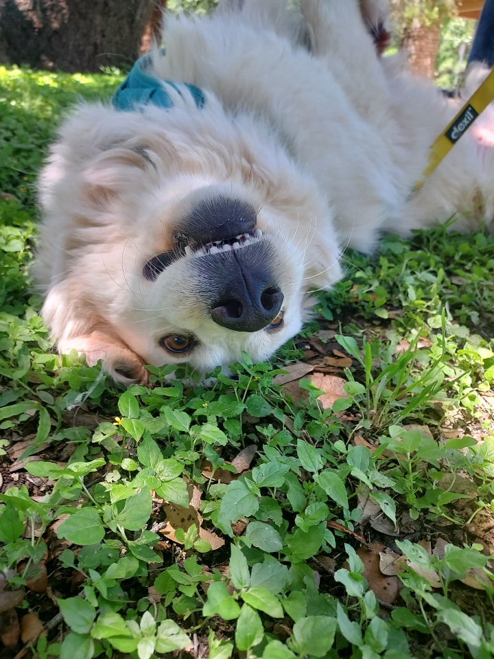 Chloe