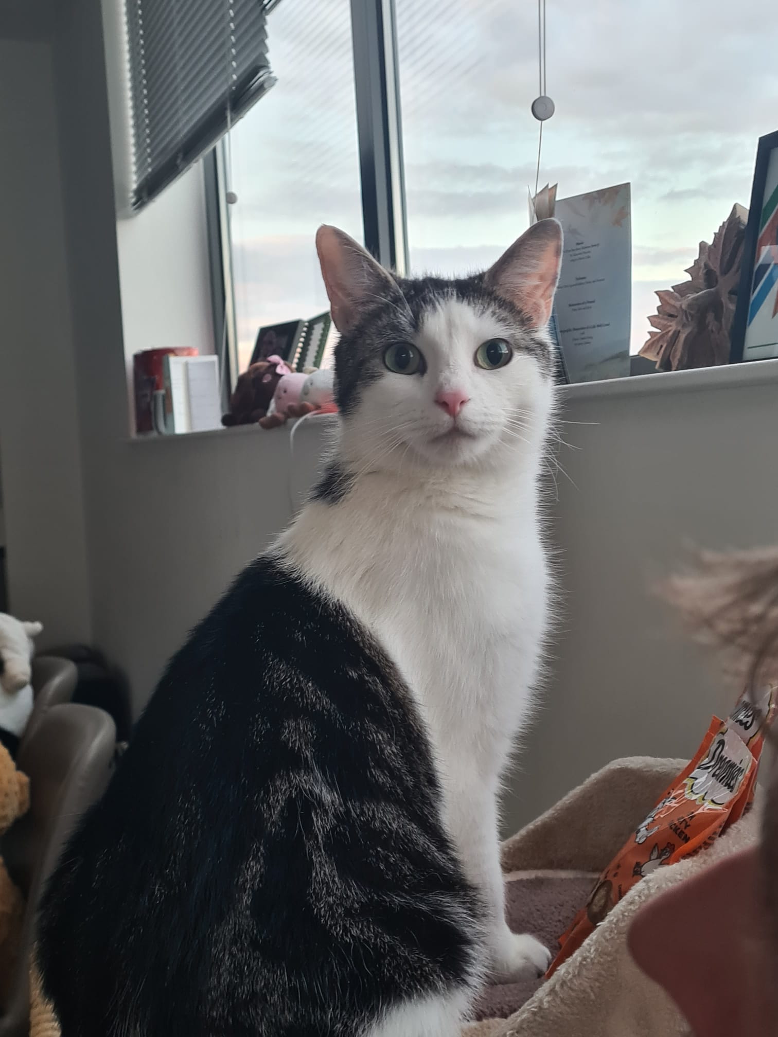 Mia